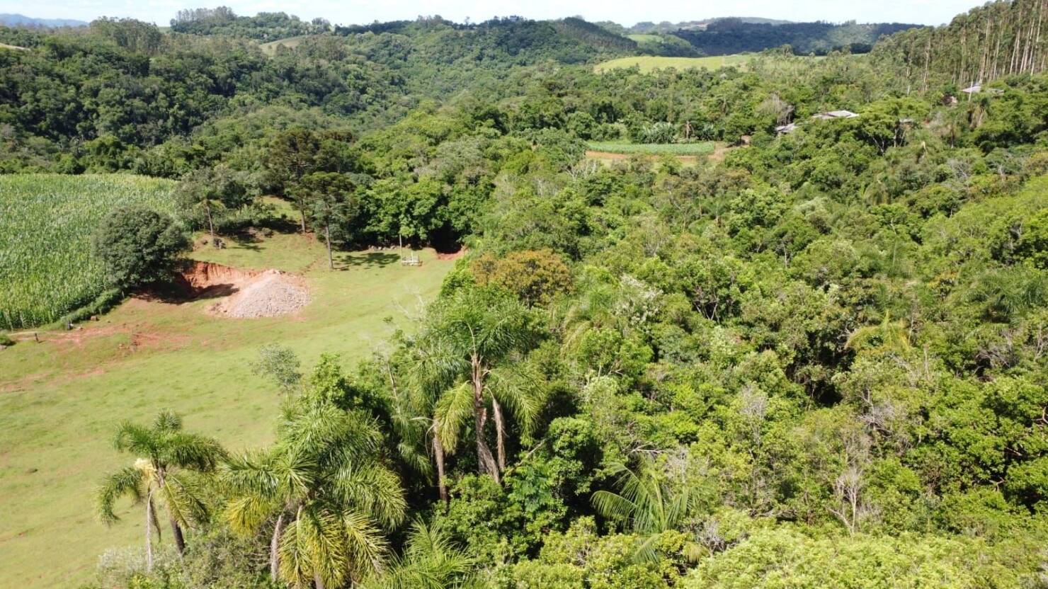 Terreno, 3 hectares - Foto 4