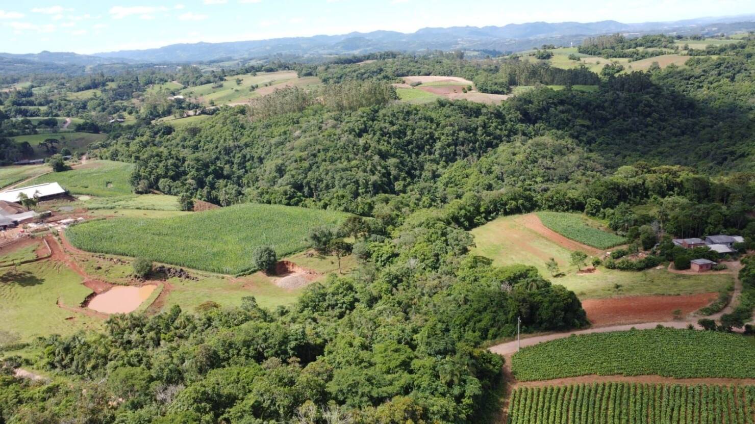 Terreno, 3 hectares - Foto 6