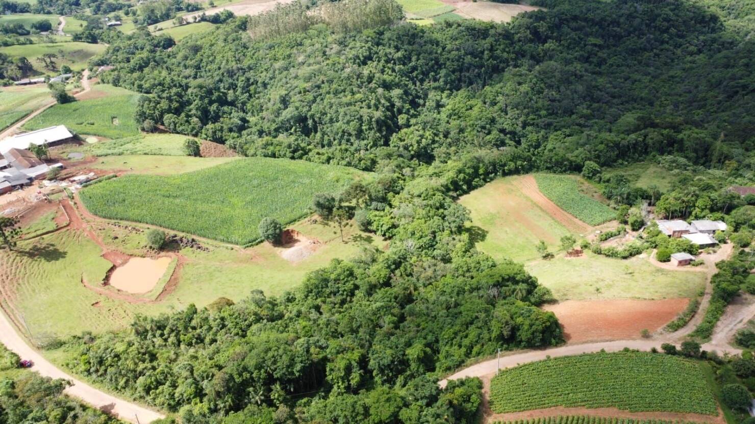 Terreno, 3 hectares - Foto 7