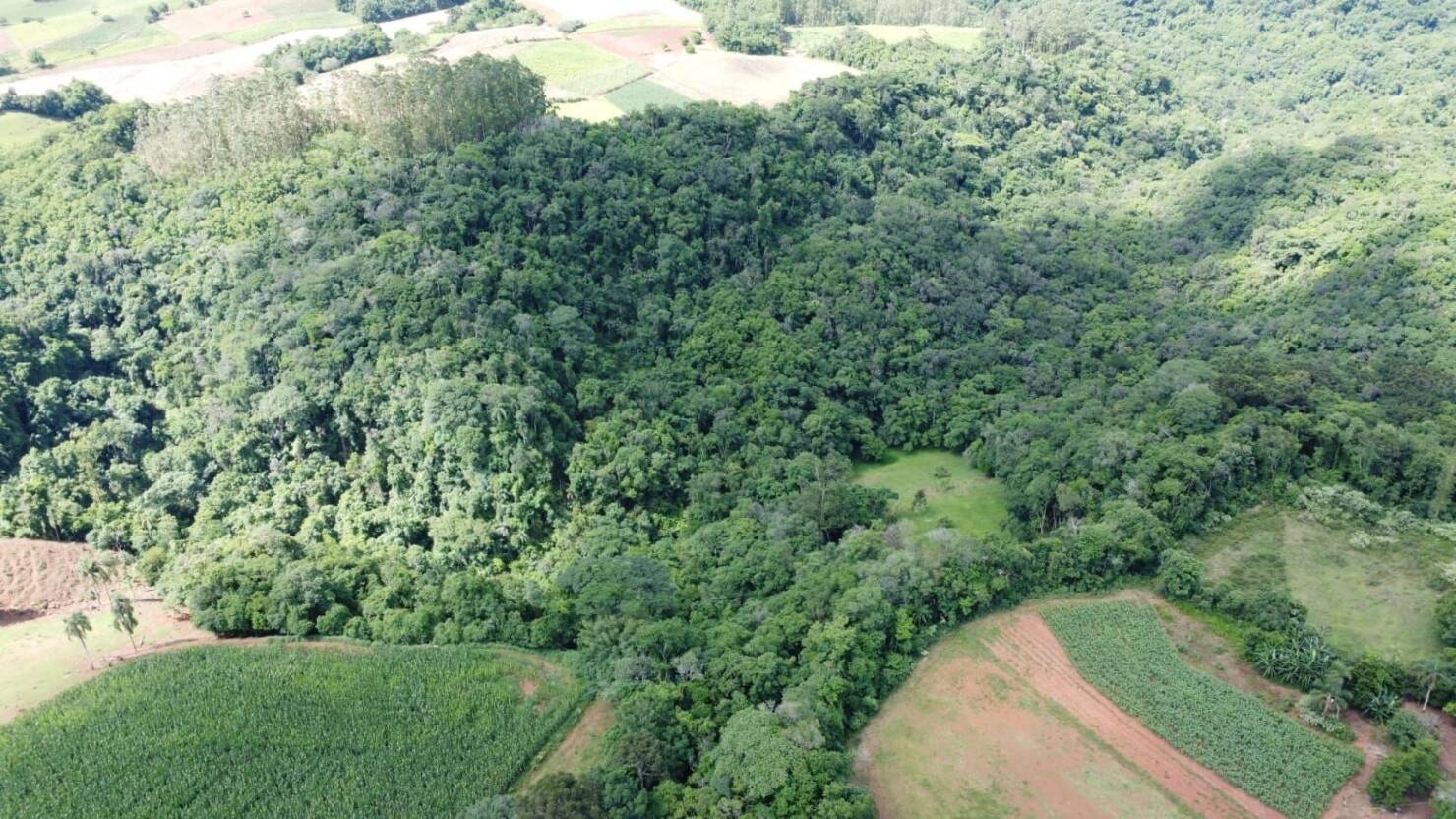 Terreno, 3 hectares - Foto 9