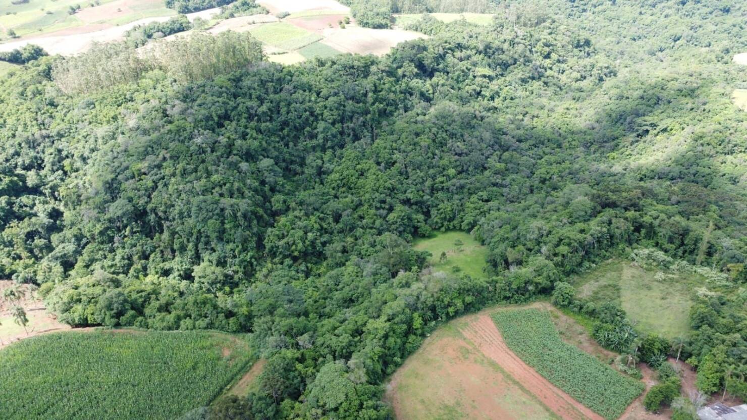 Terreno, 3 hectares - Foto 10