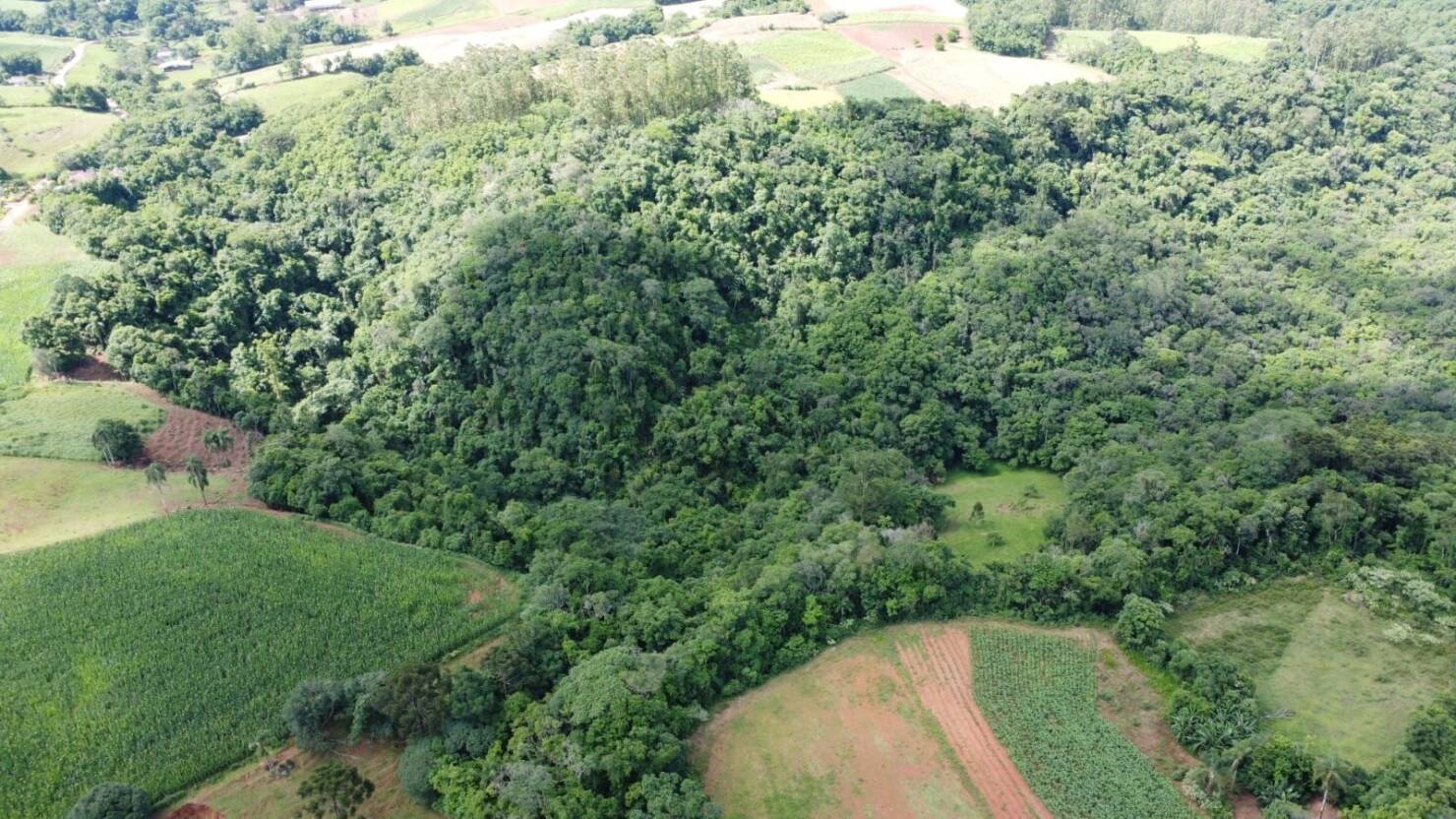 Terreno, 3 hectares - Foto 11