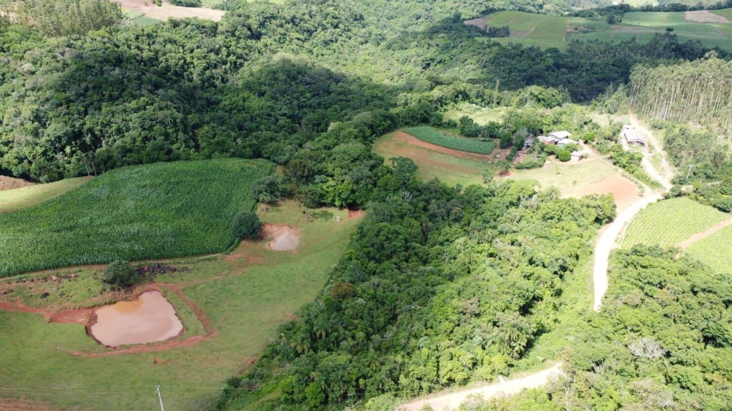 Terreno, 3 hectares - Foto 14