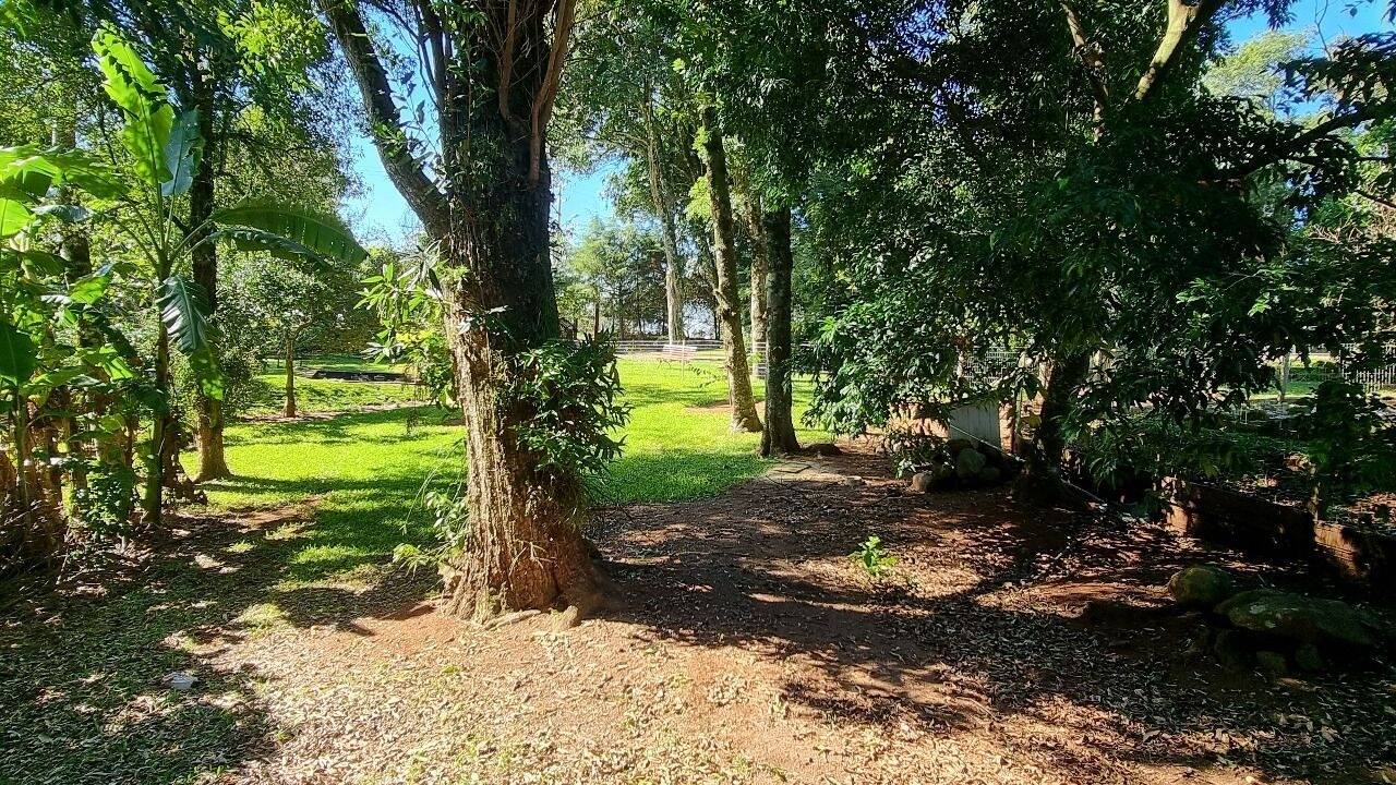 Chácara, 3 quartos, 3800 m² - Foto 23