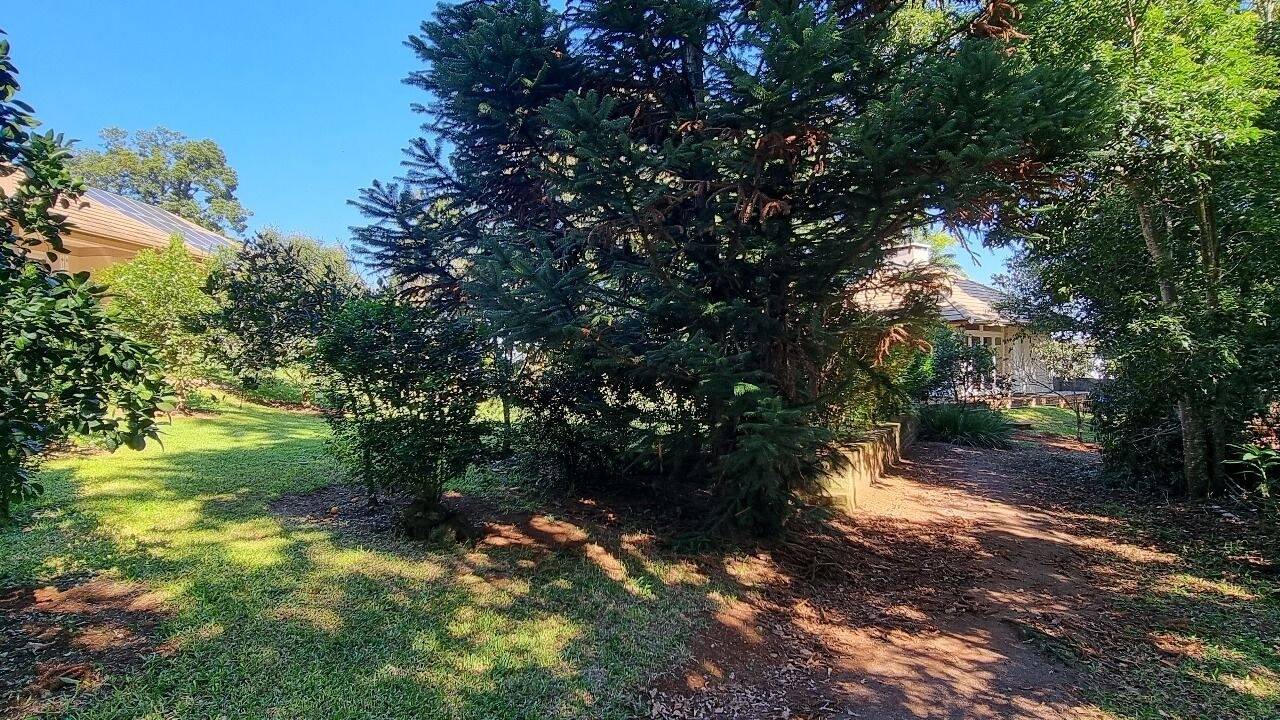 Chácara, 3 quartos, 3800 m² - Foto 28