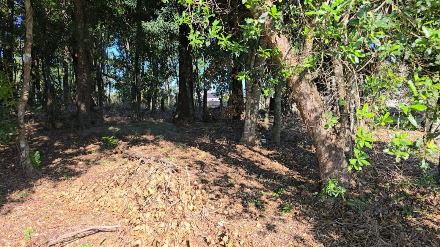 Terreno, 533 m² - Foto 4