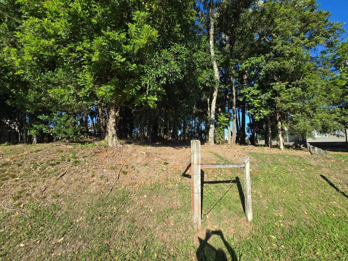 Terreno, 533 m² - Foto 5