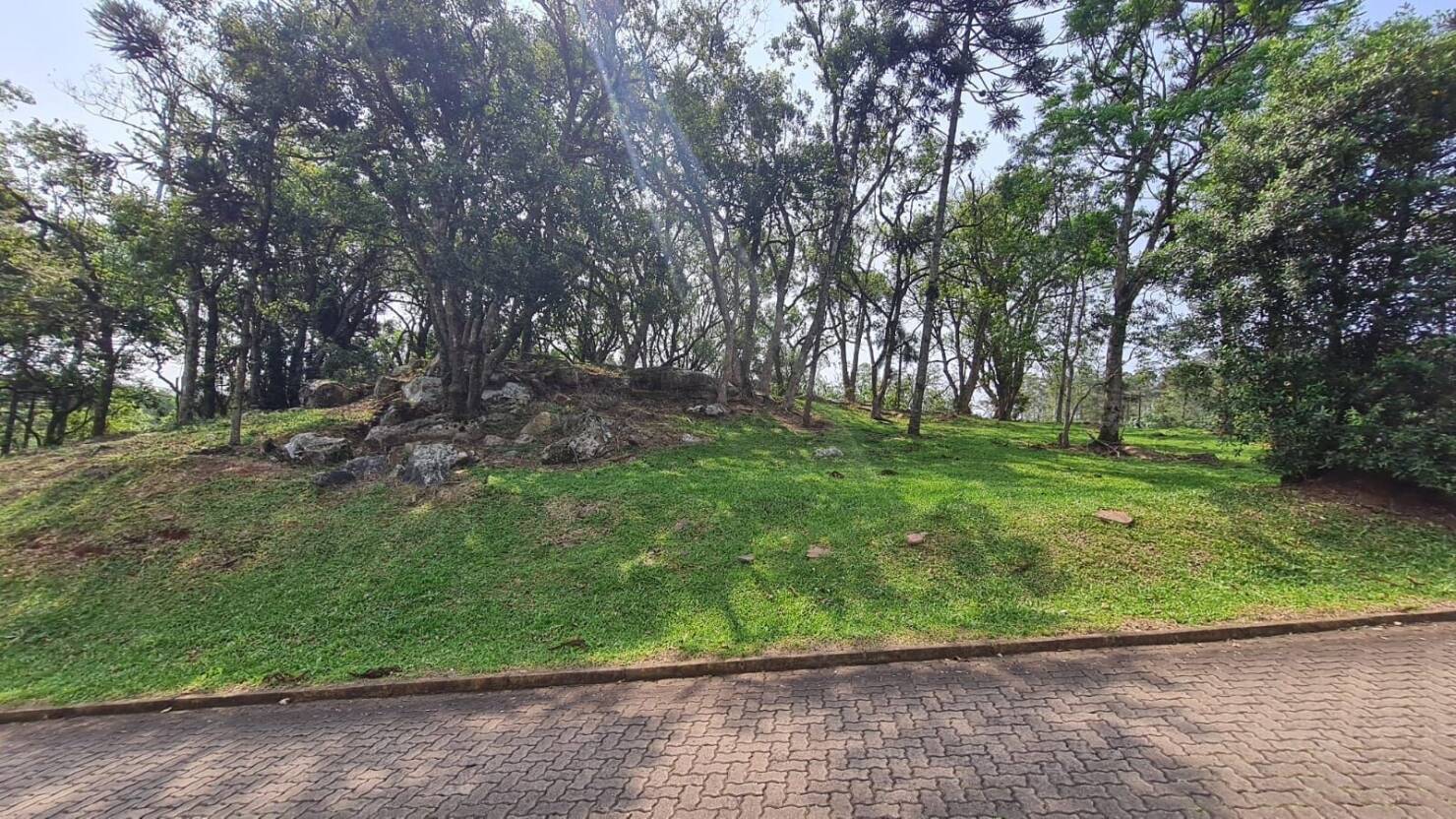 Terreno, 1563 m² - Foto 15
