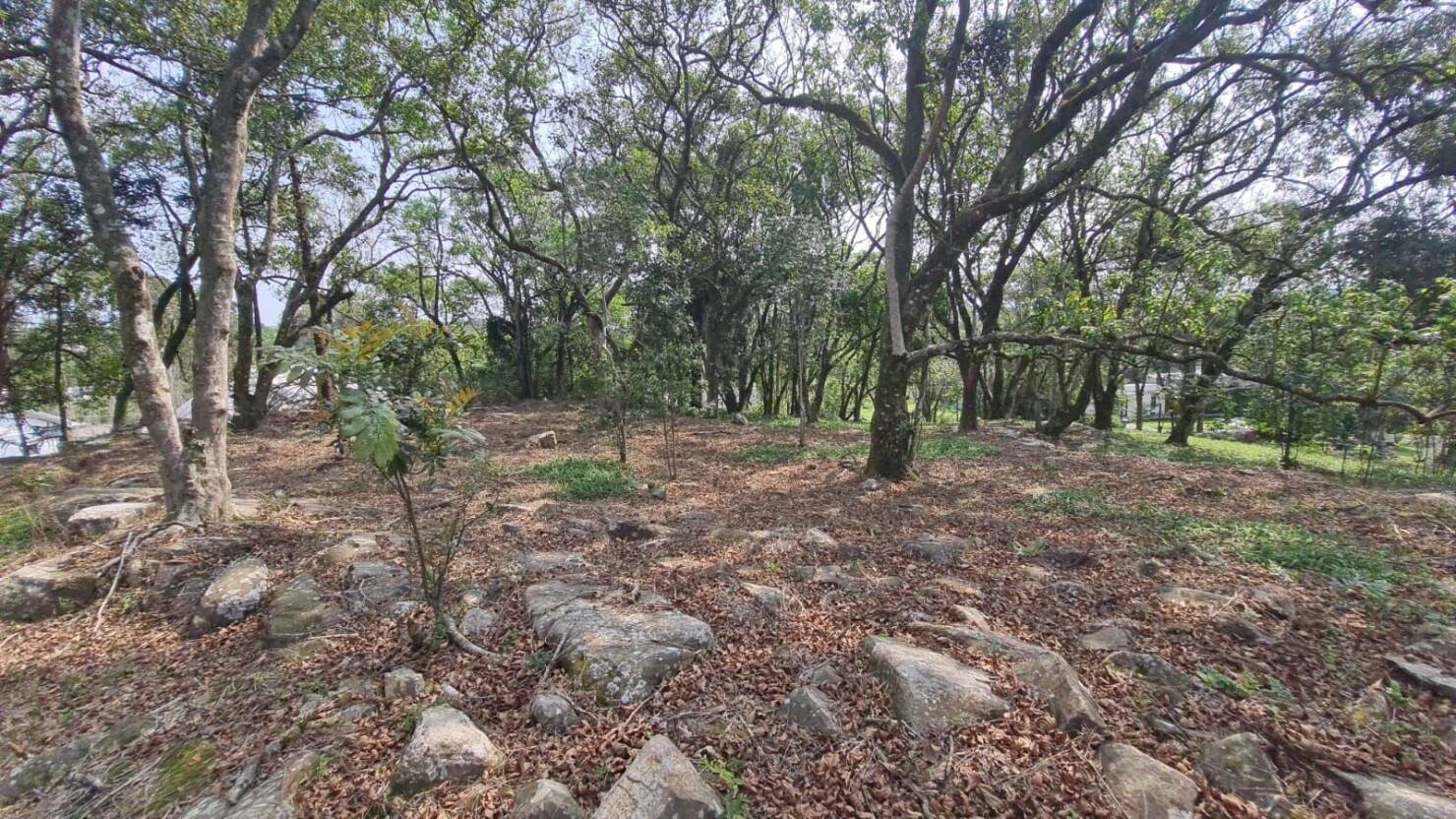 Terreno, 1563 m² - Foto 17