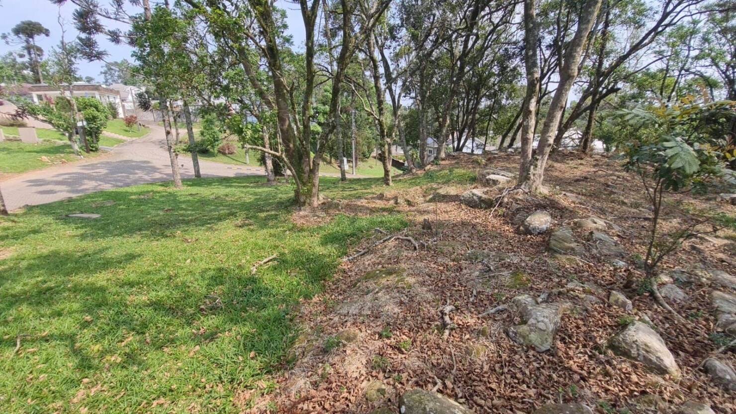 Terreno, 1563 m² - Foto 18