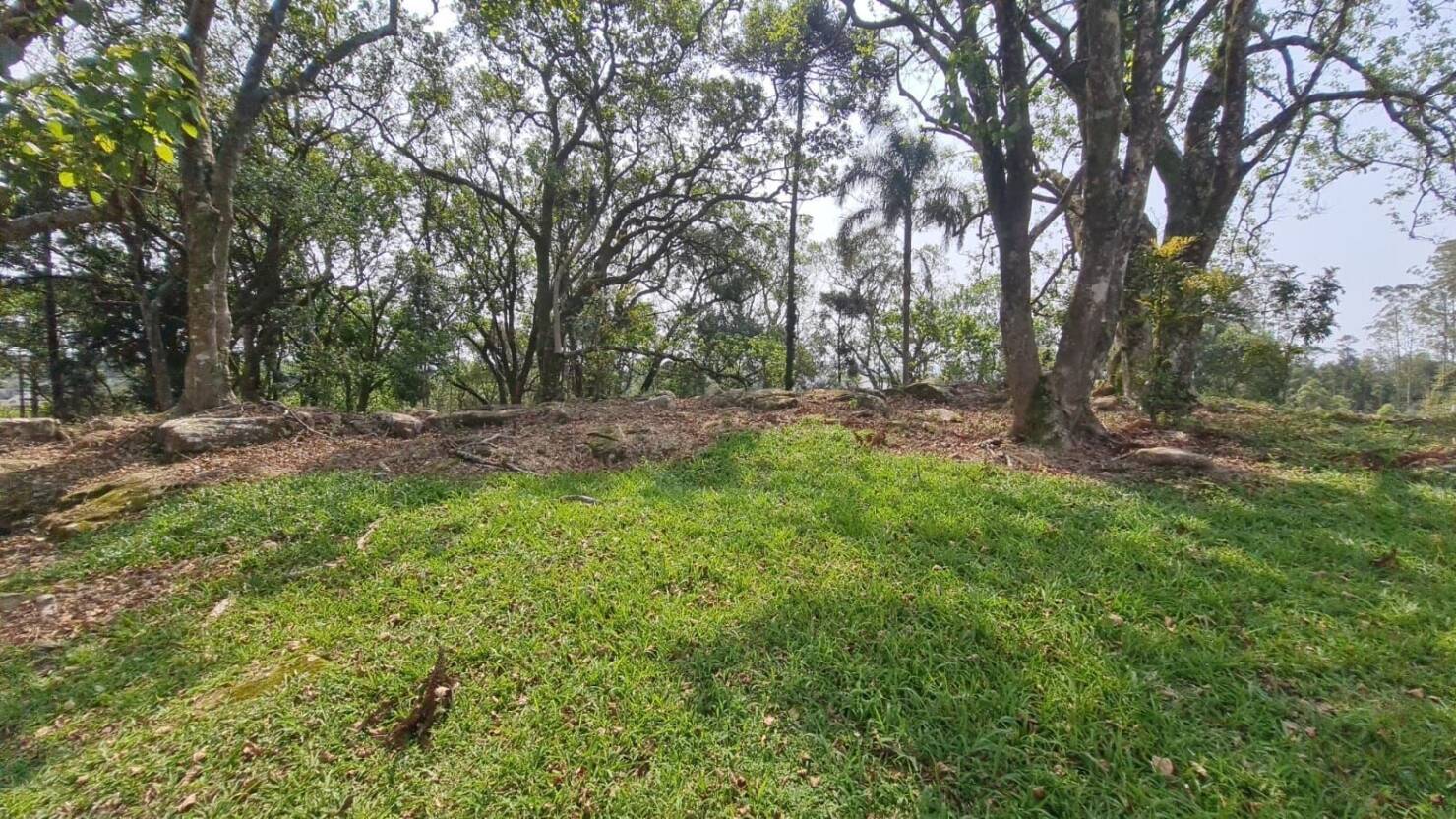 Terreno, 1563 m² - Foto 6