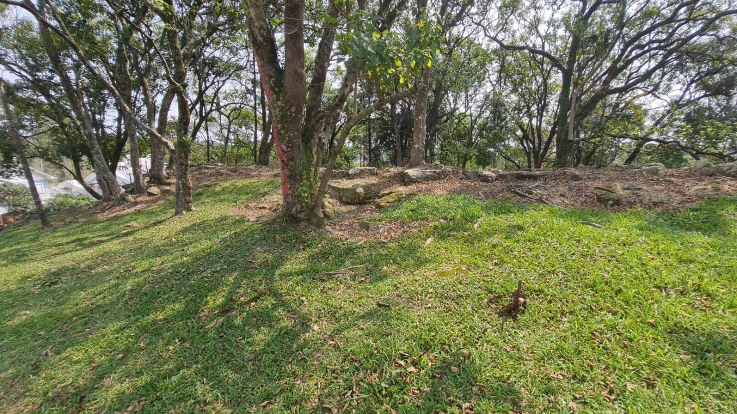 Terreno, 1563 m² - Foto 7