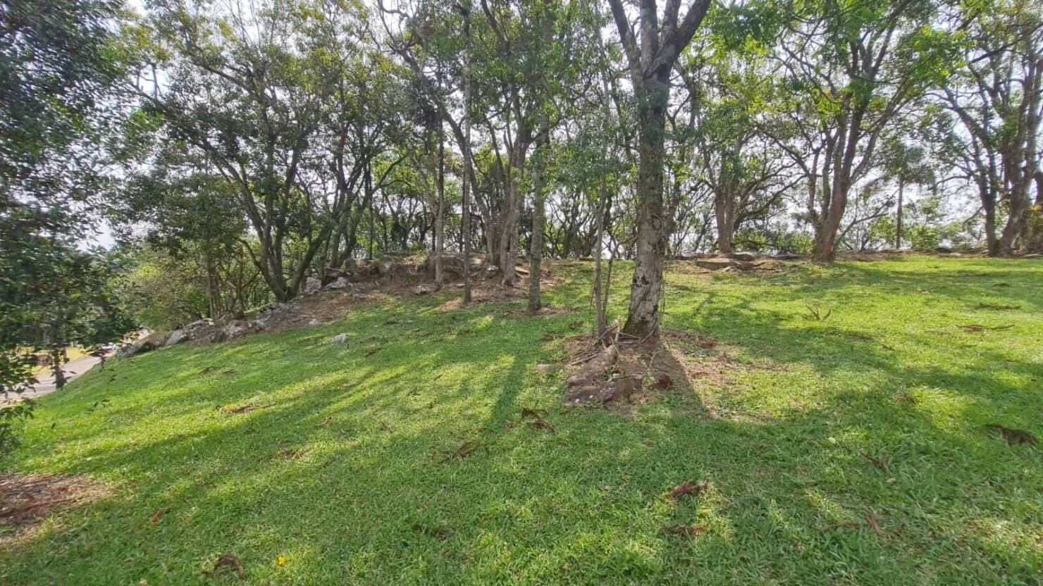 Terreno, 1563 m² - Foto 9