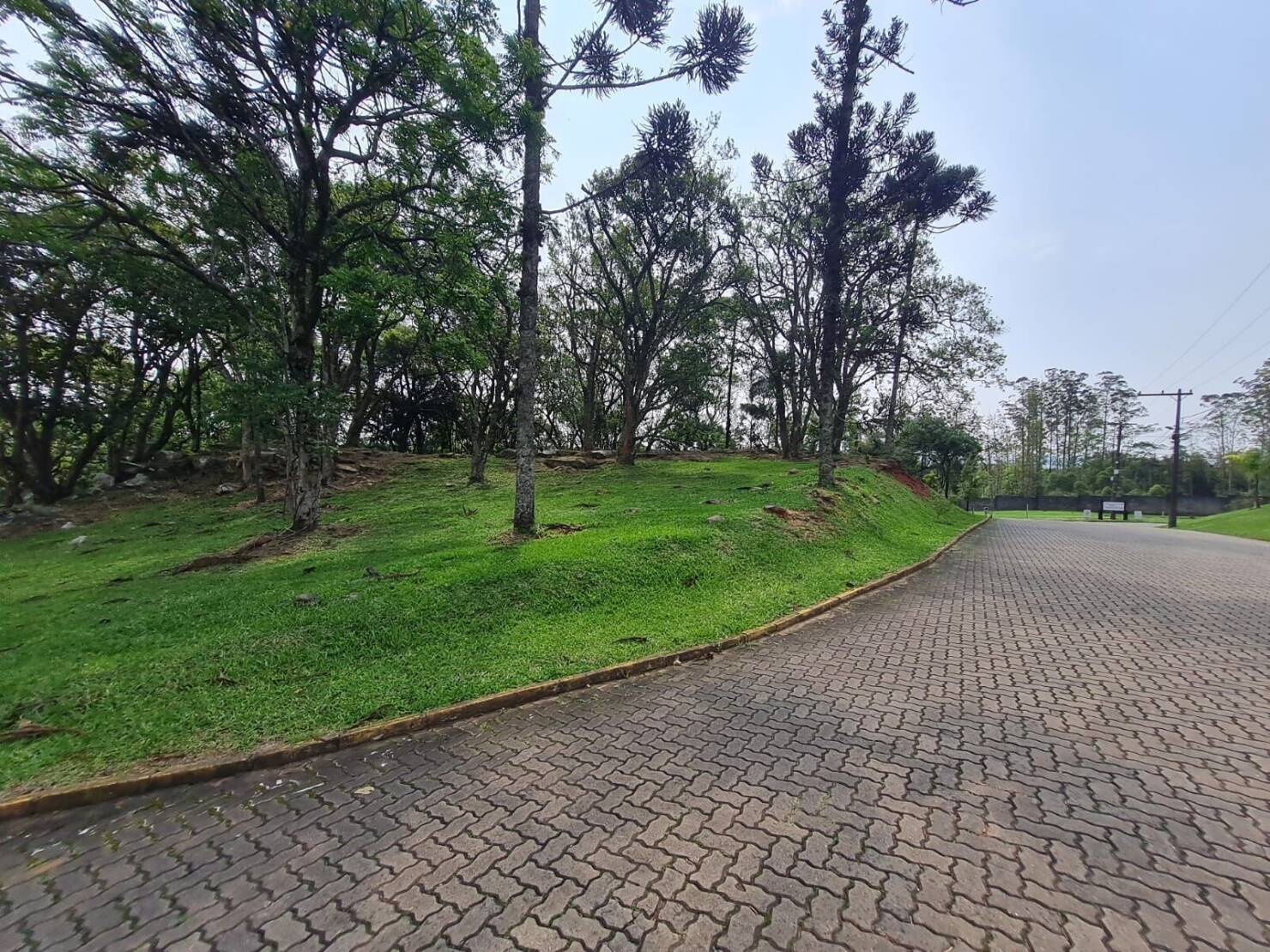 Terreno, 1563 m² - Foto 12