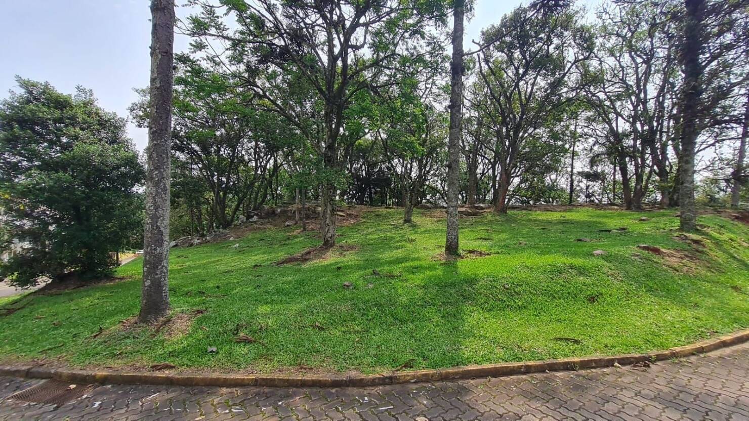 Terreno, 1563 m² - Foto 14