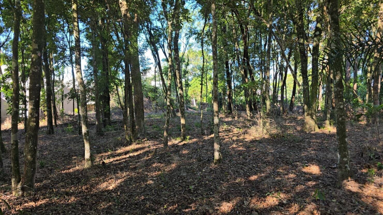 Terreno, 585 m² - Foto 1