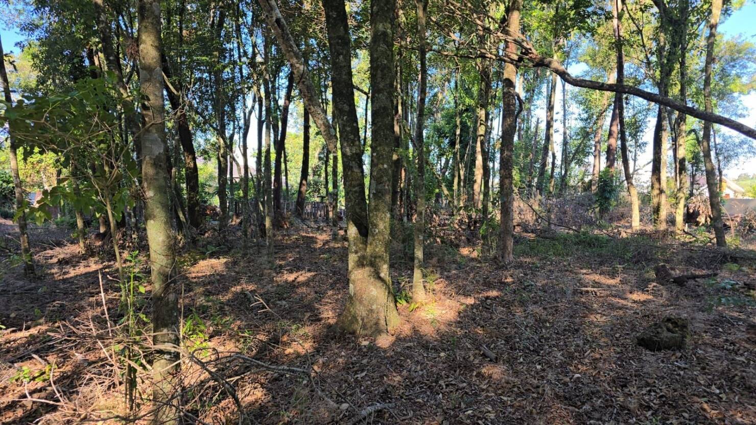 Terreno, 585 m² - Foto 2