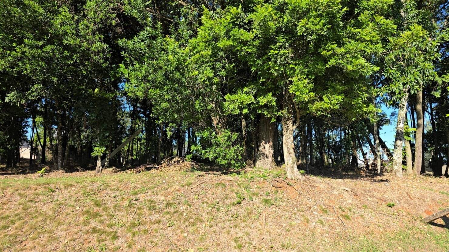 Terreno, 585 m² - Foto 5