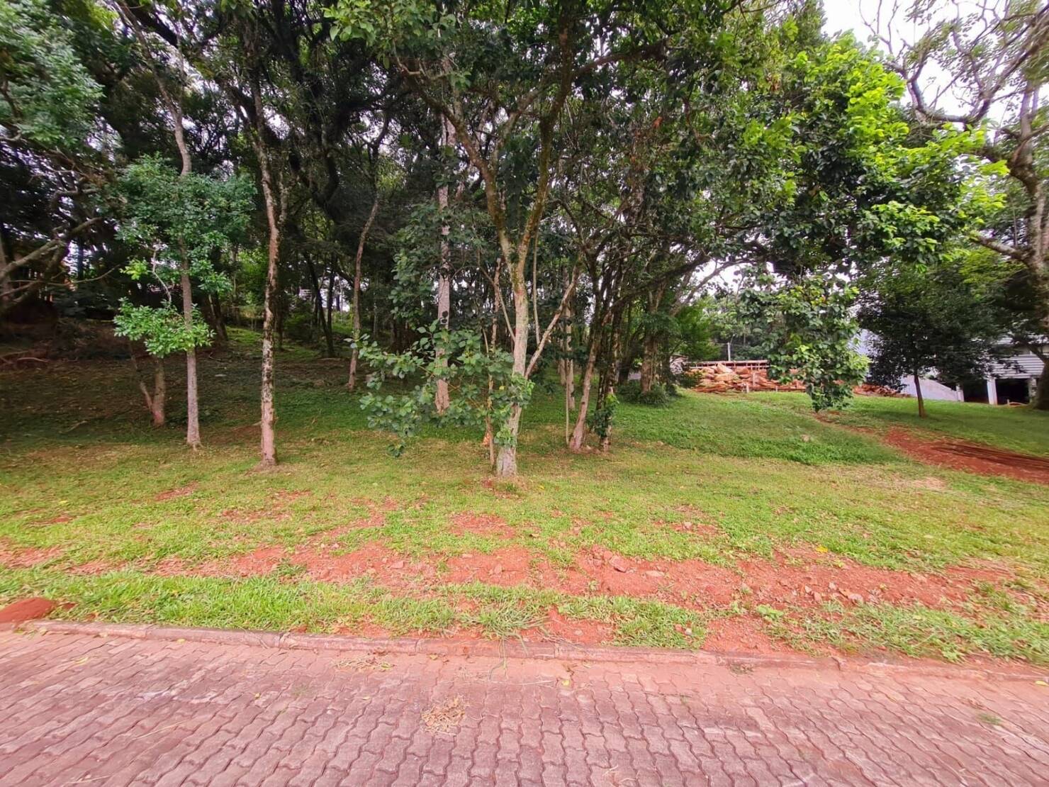 Terreno, 1958 m² - Foto 6