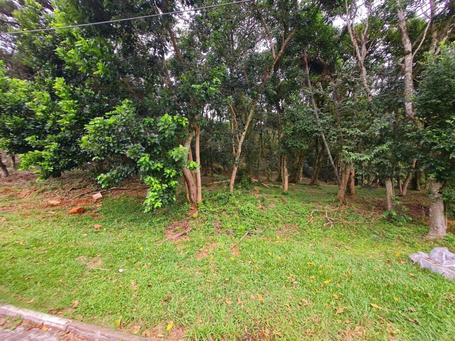 Terreno, 1958 m² - Foto 7
