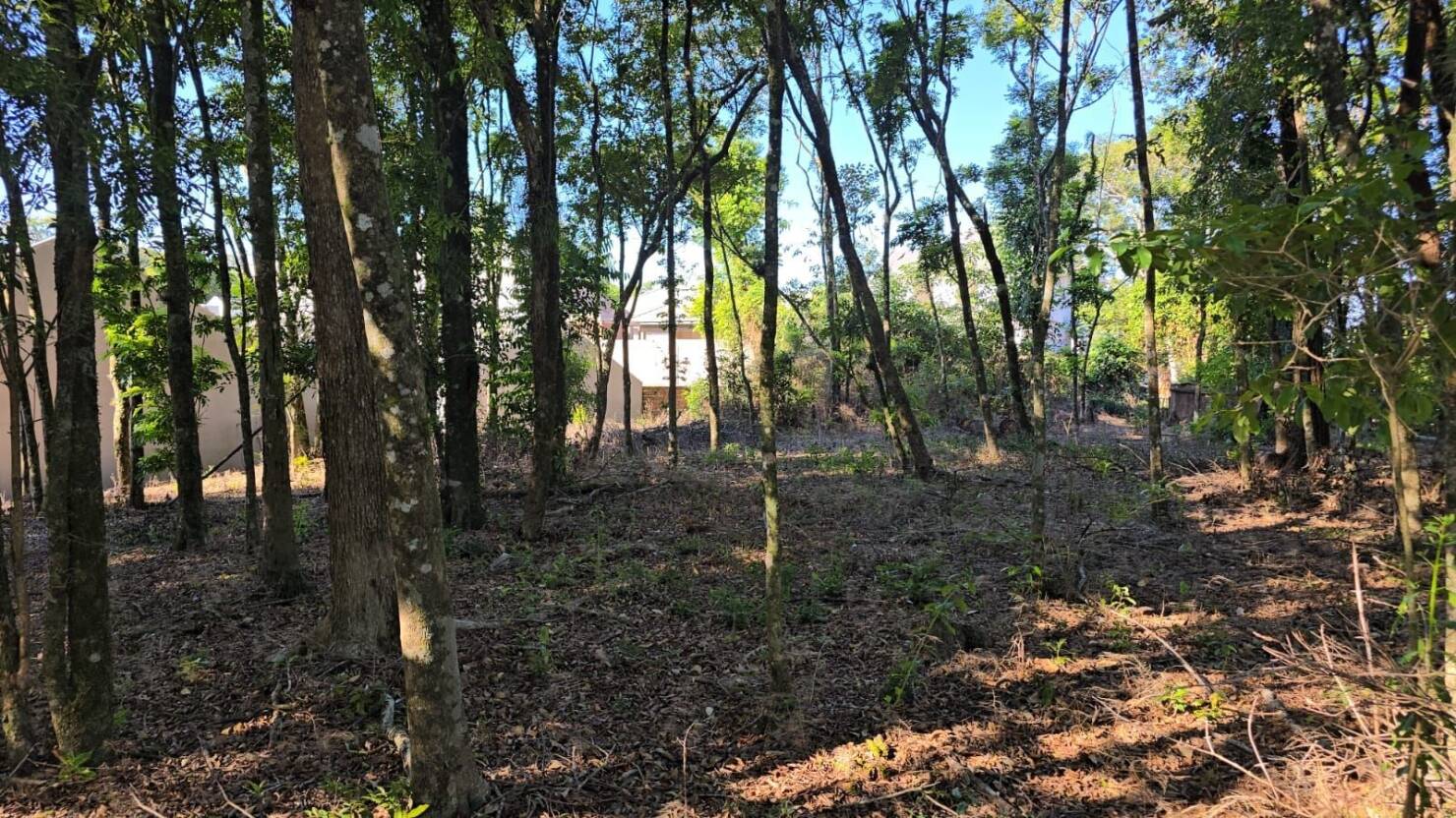 Terreno, 585 m² - Foto 5