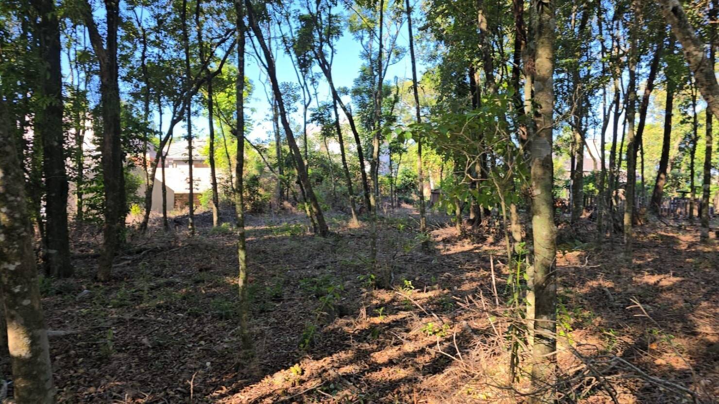 Terreno, 585 m² - Foto 6