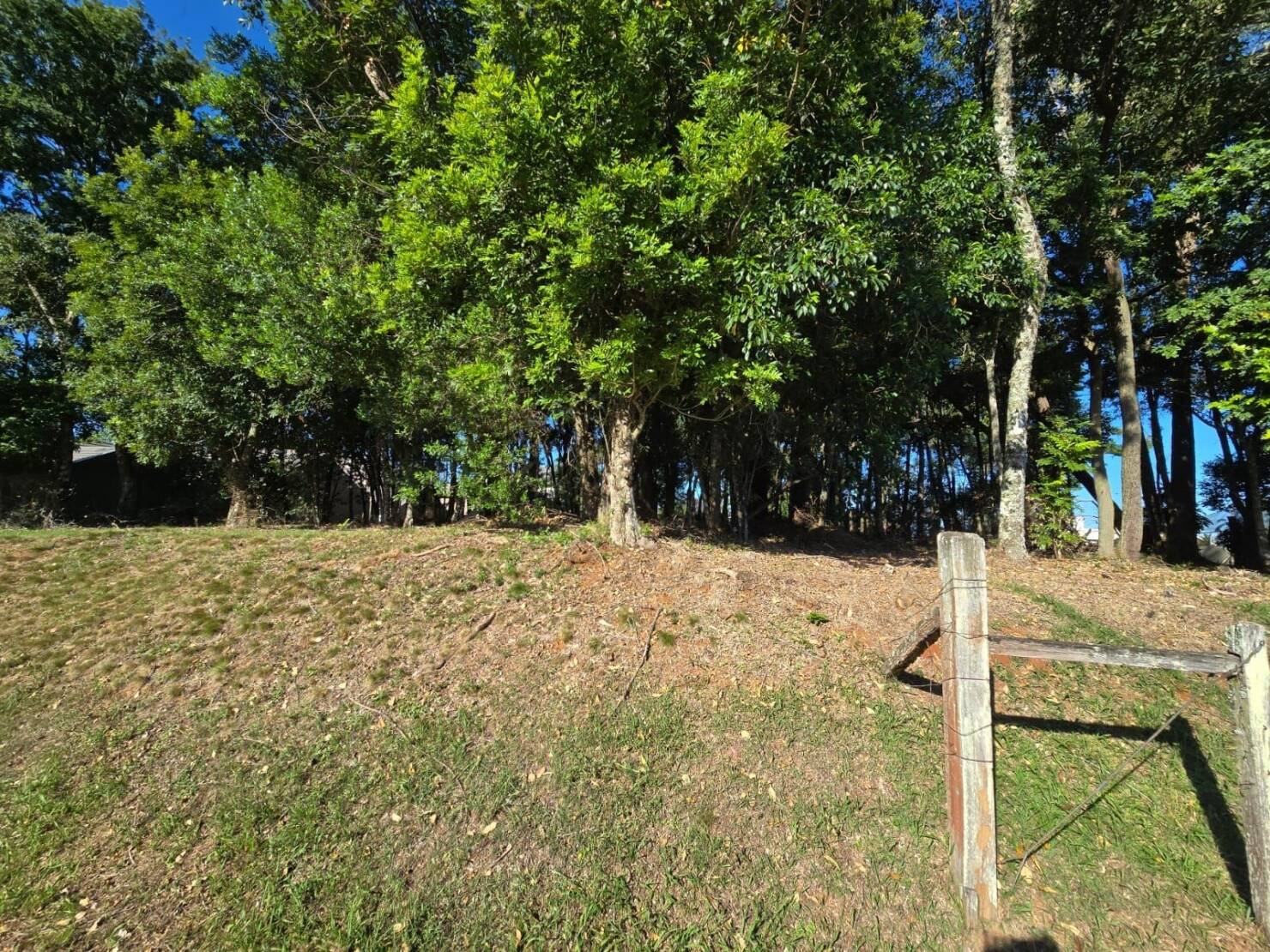 Terreno, 585 m² - Foto 8