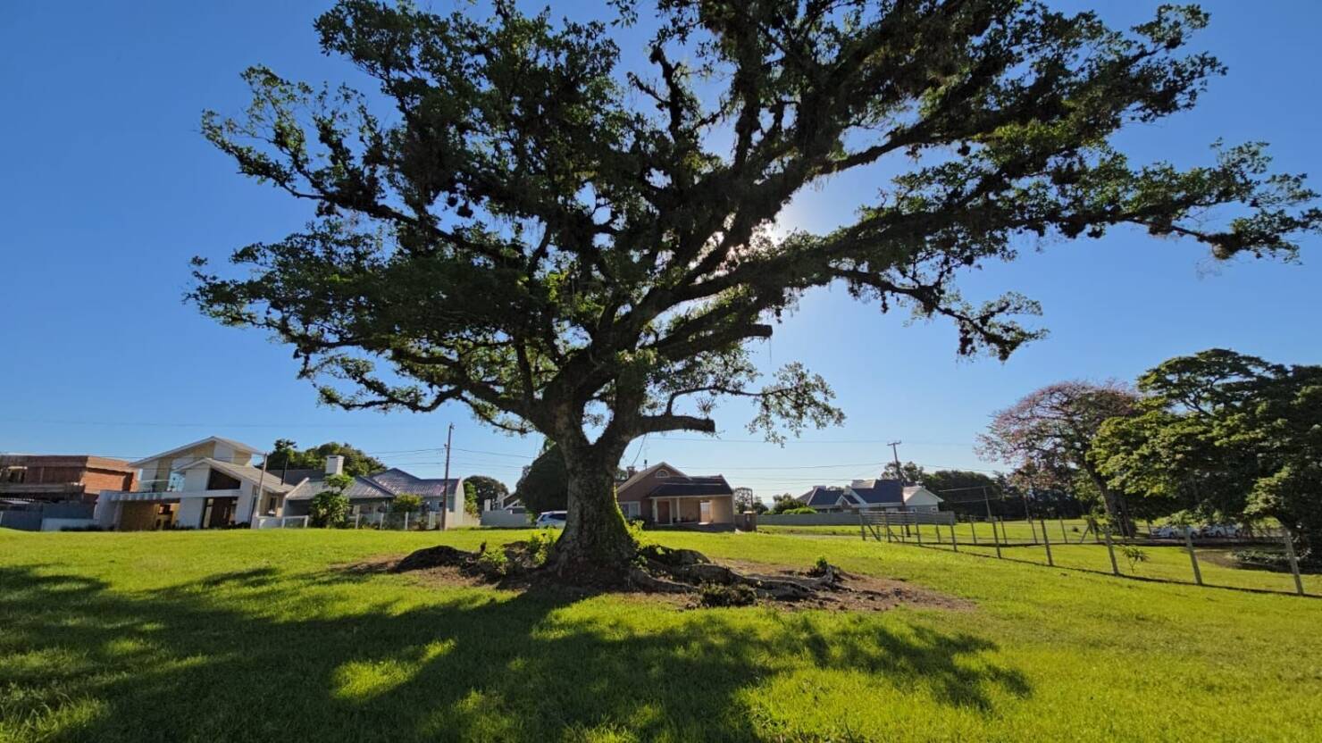 Terreno, 1170 m² - Foto 8