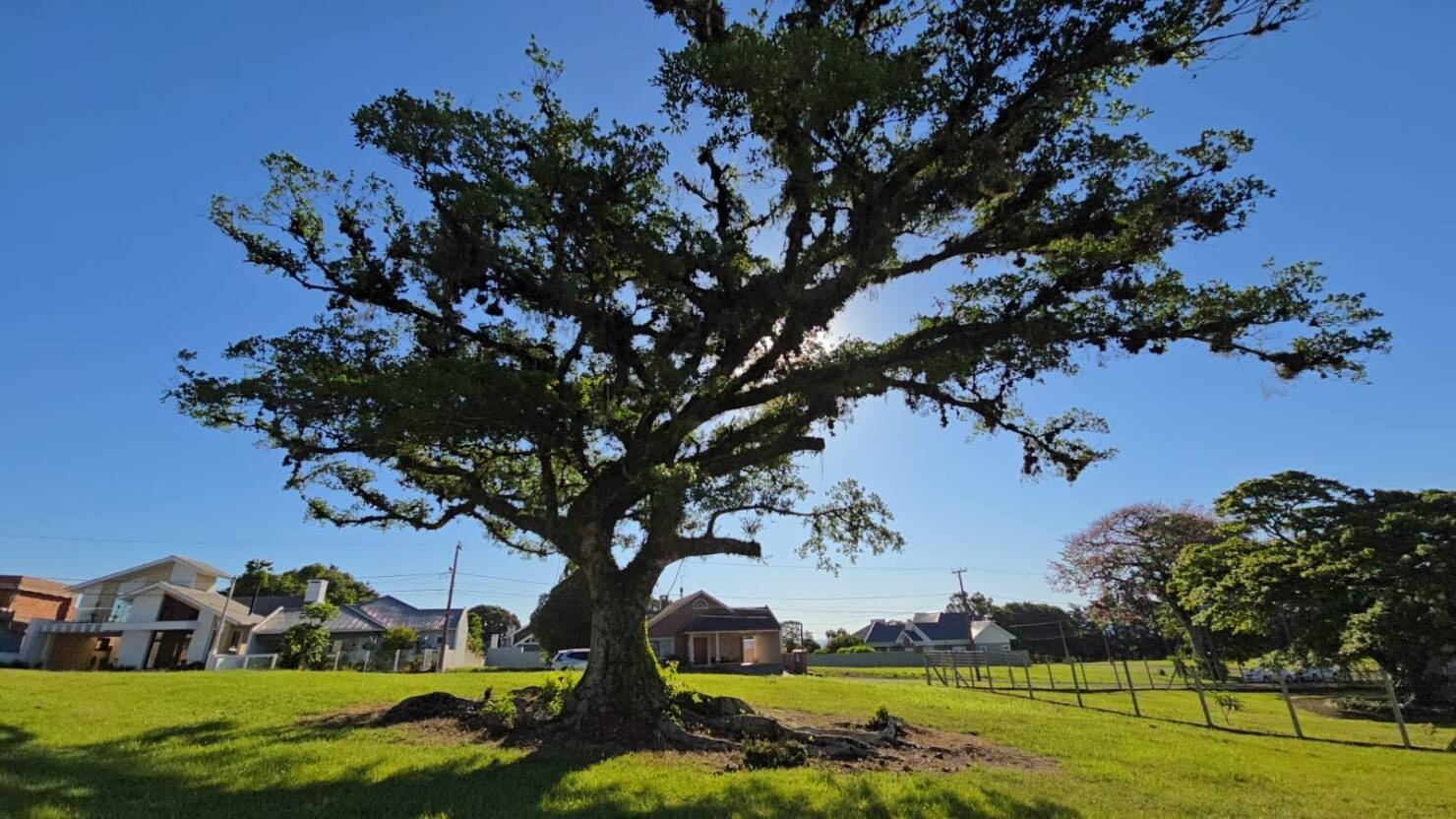 Terreno, 1170 m² - Foto 9