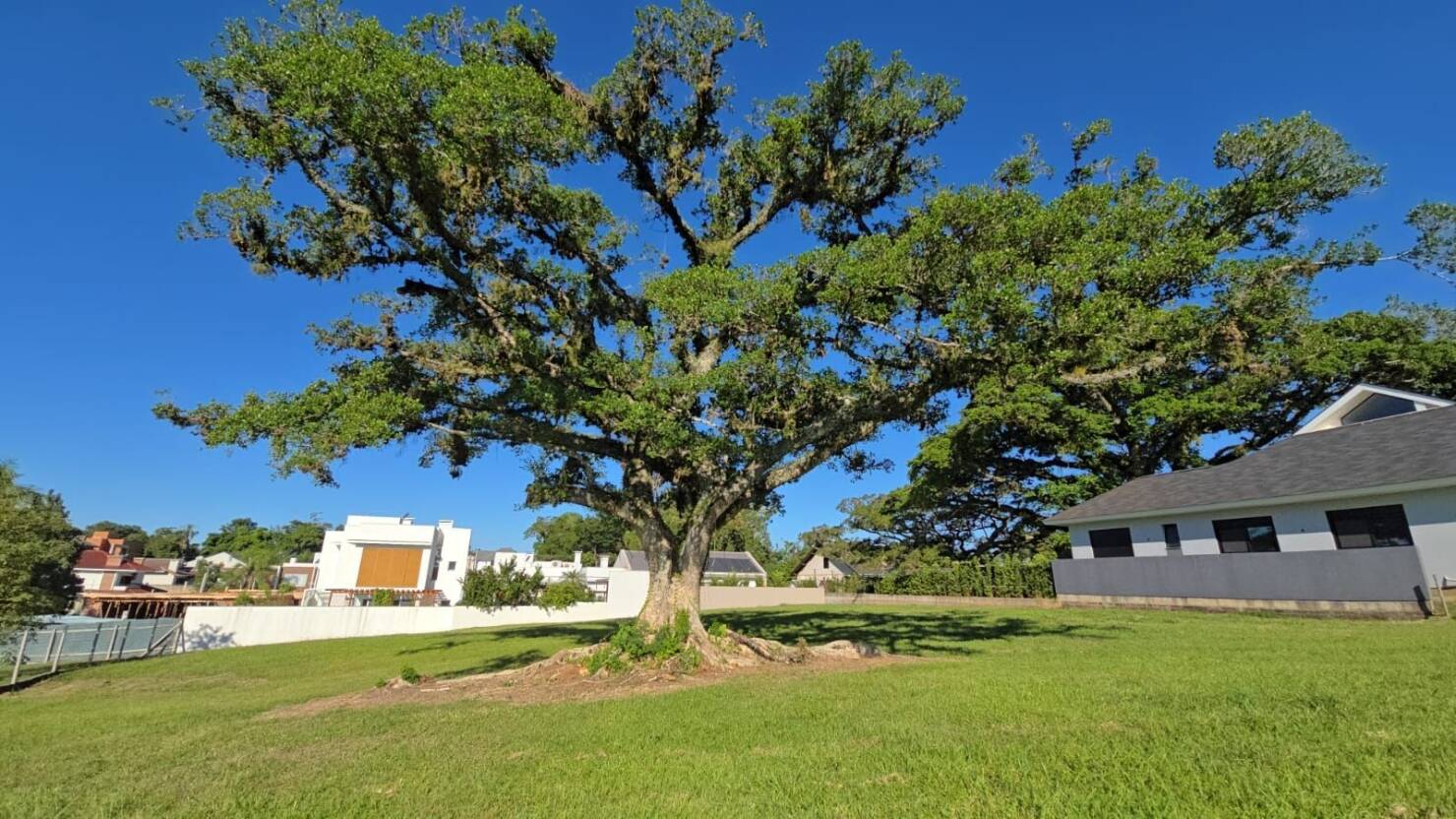 Terreno, 1170 m² - Foto 10