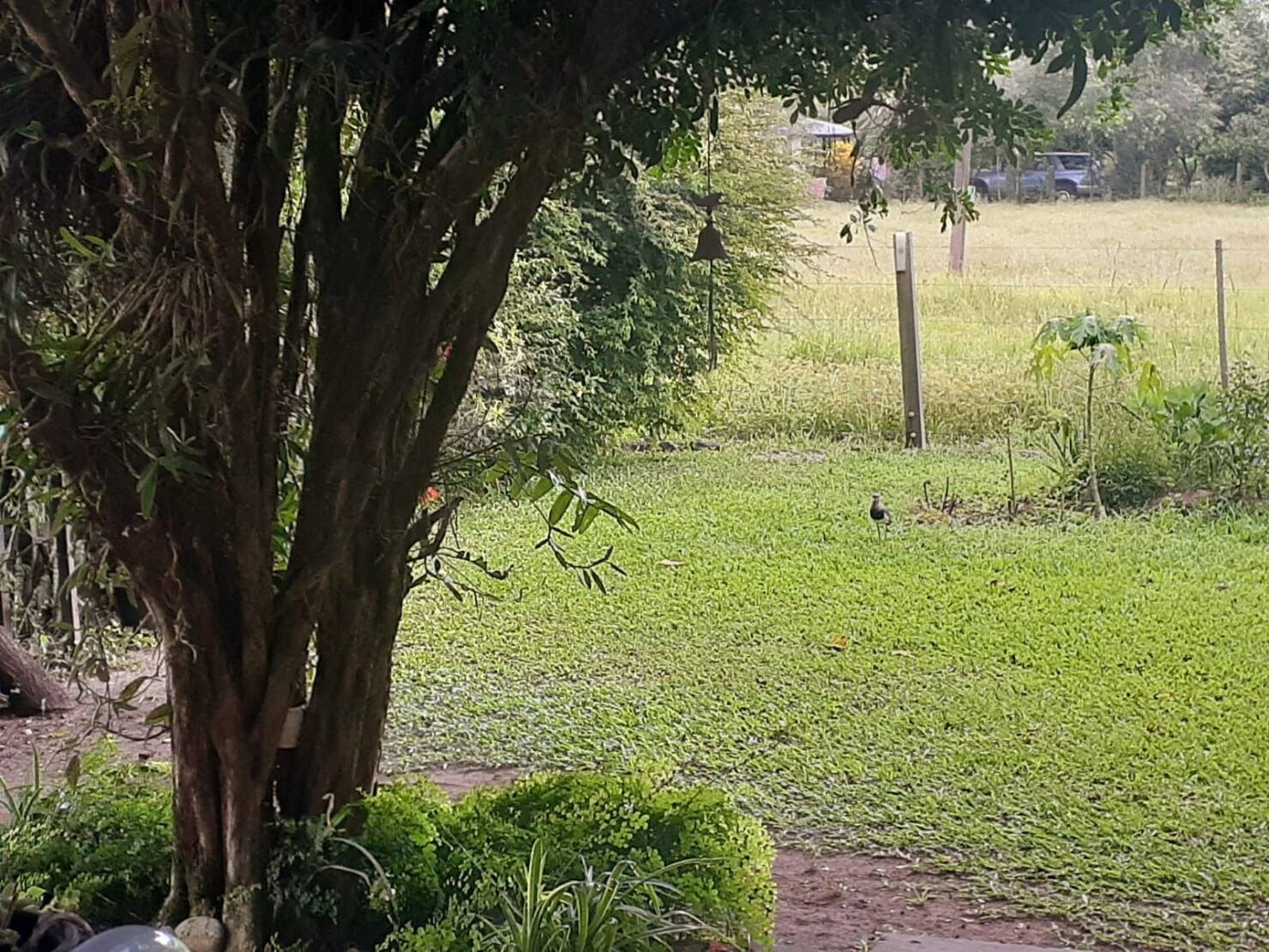 Chácara à venda com 2 quartos, 167m² - Foto 3