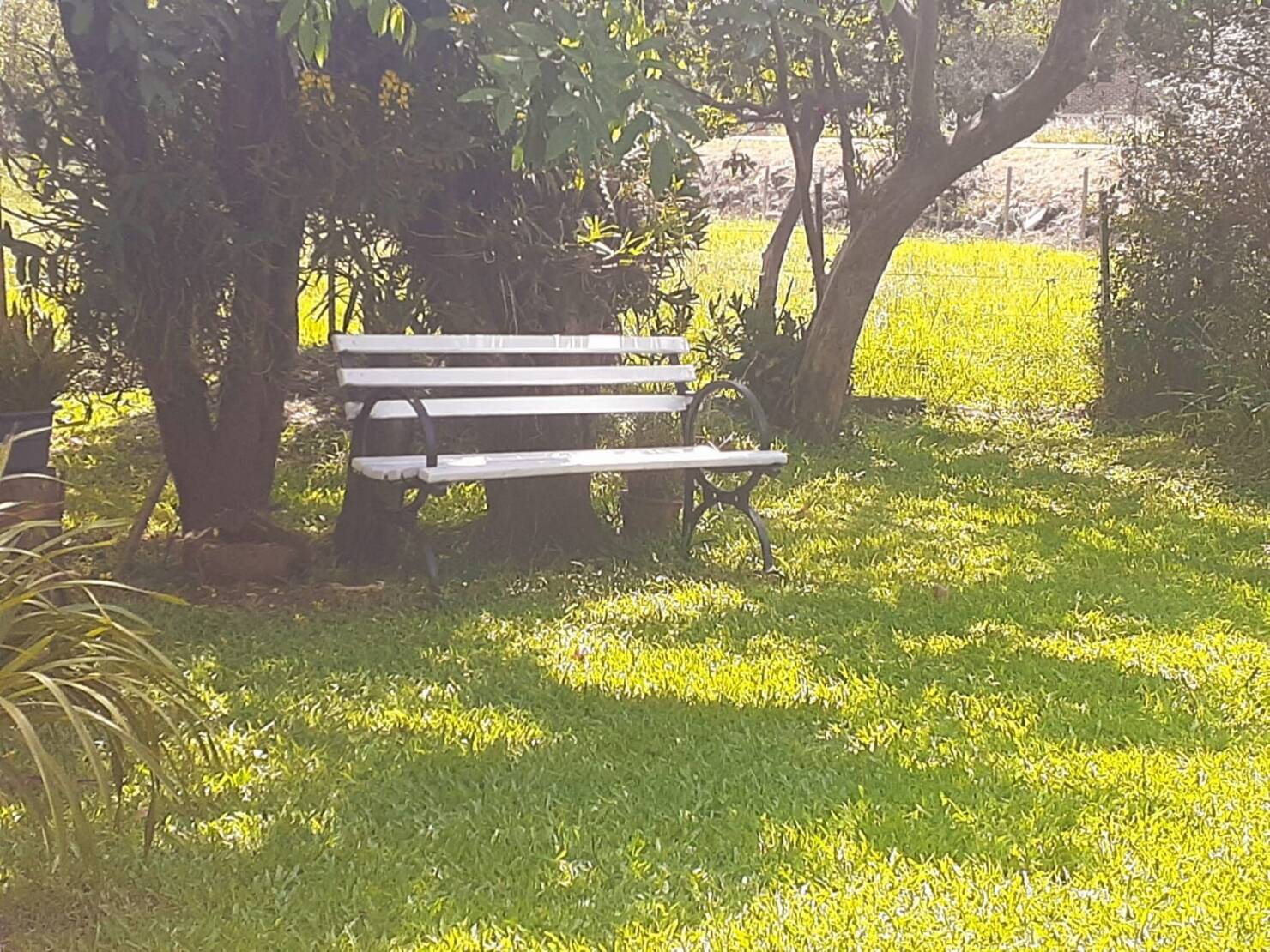 Chácara à venda com 2 quartos, 167m² - Foto 7