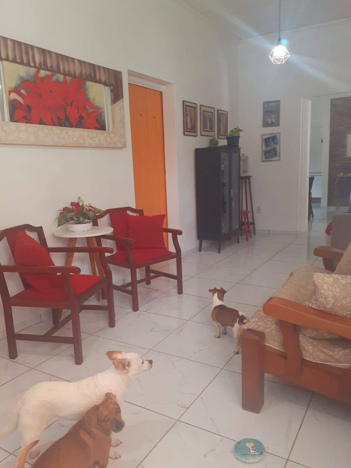 Chácara à venda com 2 quartos, 167m² - Foto 15