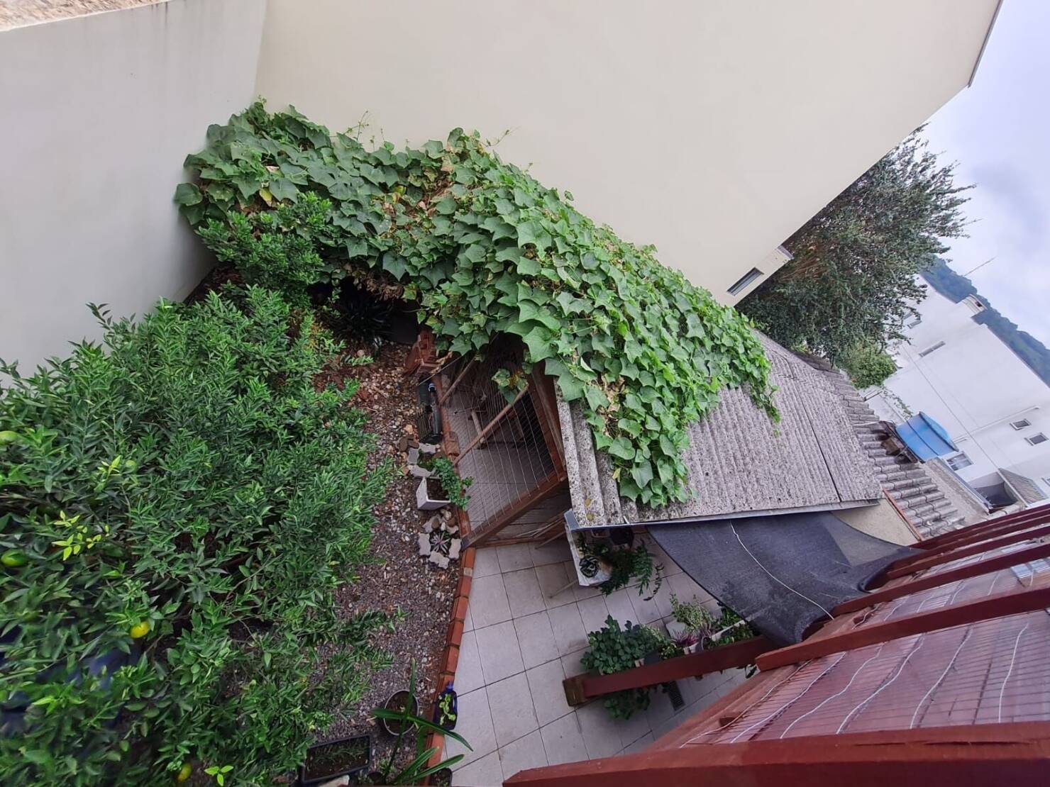 Casa, 3 quartos, 205 m² - Foto 22