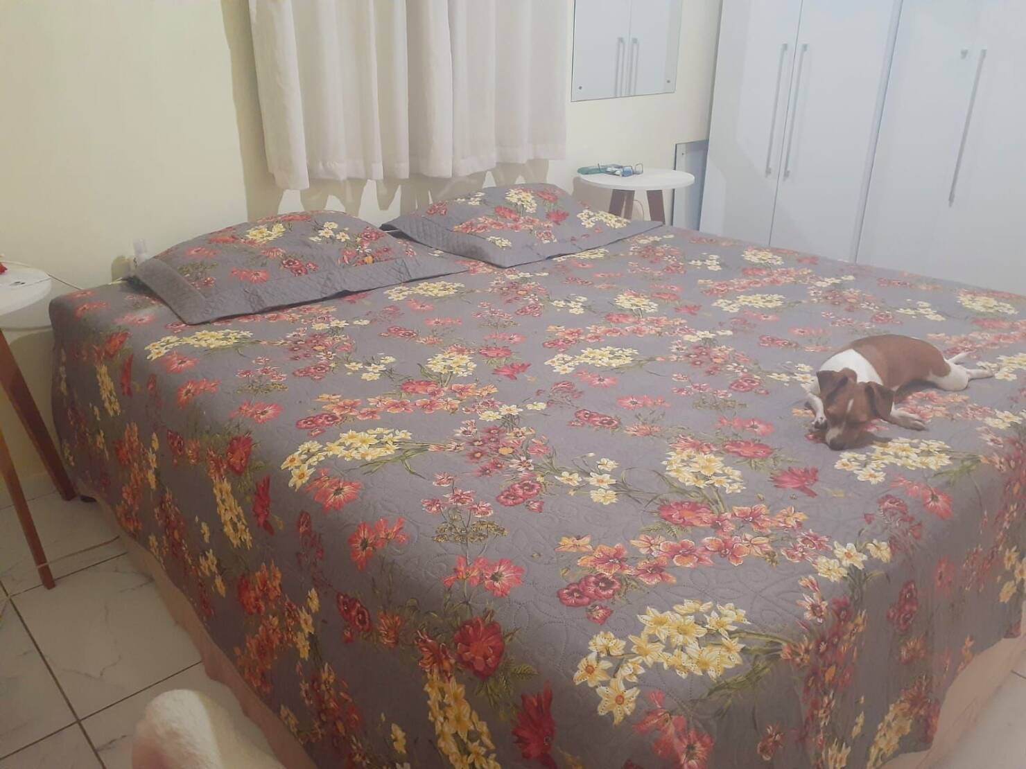 Chácara à venda com 2 quartos, 167m² - Foto 31