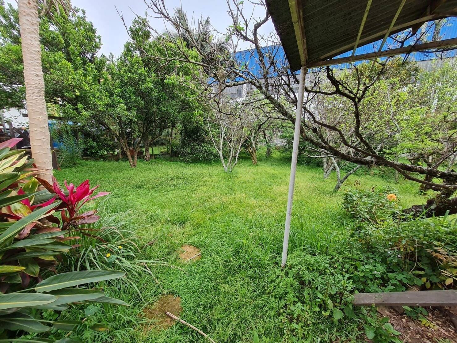 Terreno, 560 m² - Foto 5