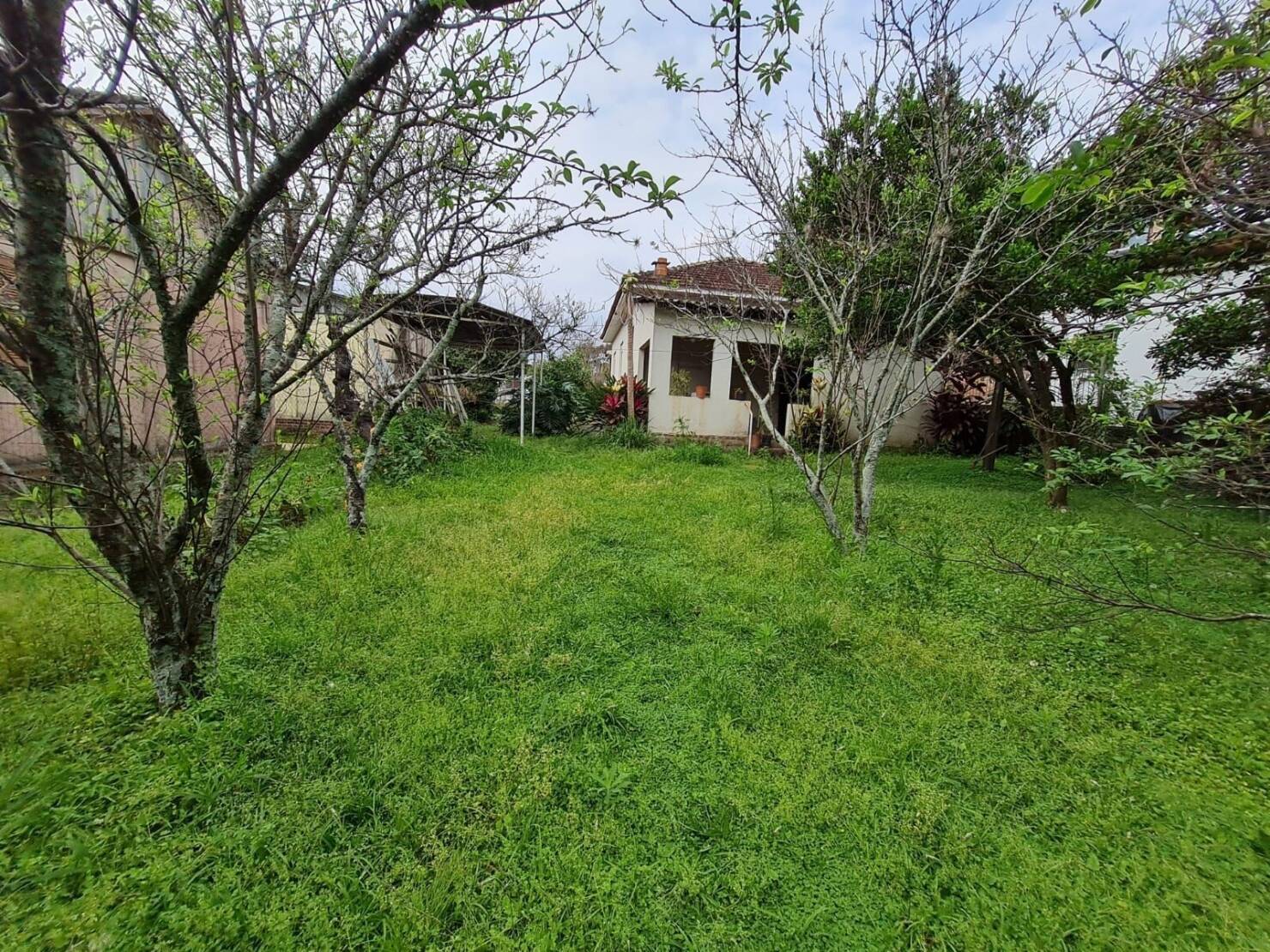 Terreno, 560 m² - Foto 6