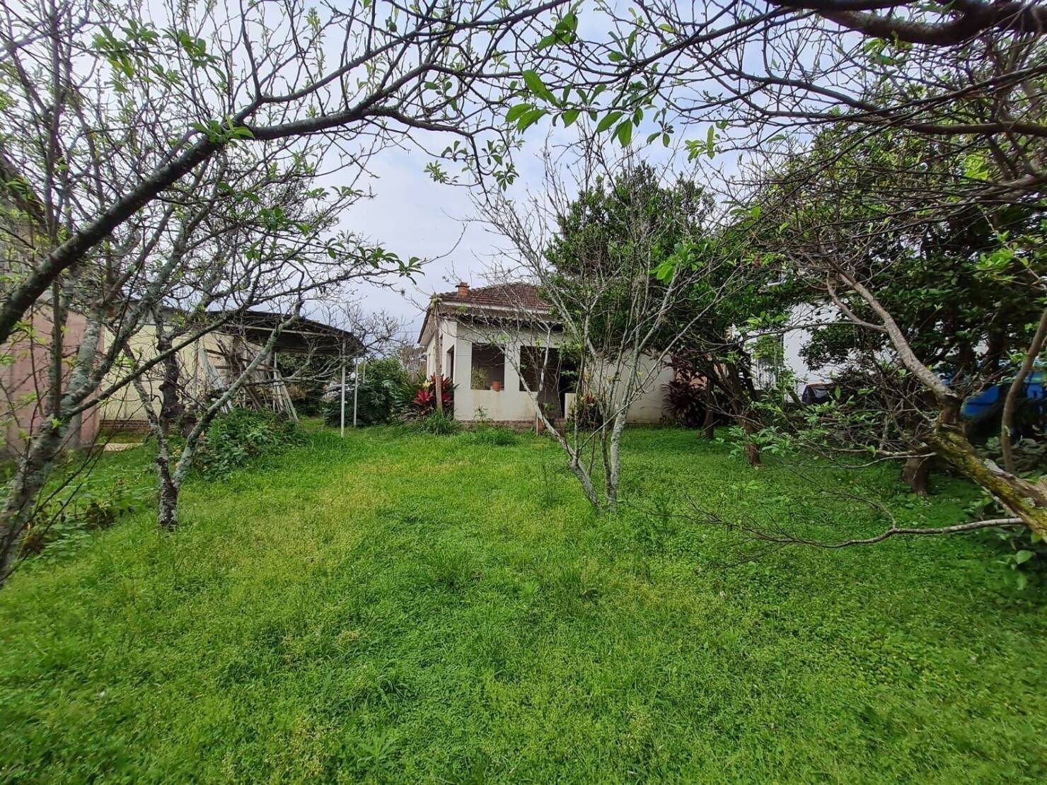 Terreno, 560 m² - Foto 7