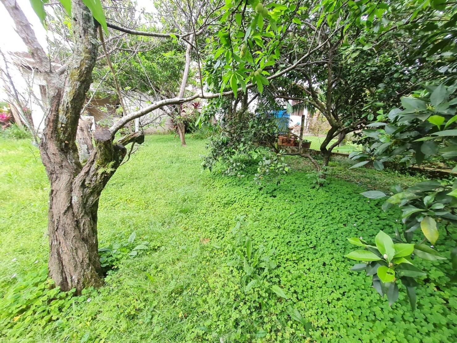 Terreno, 560 m² - Foto 8