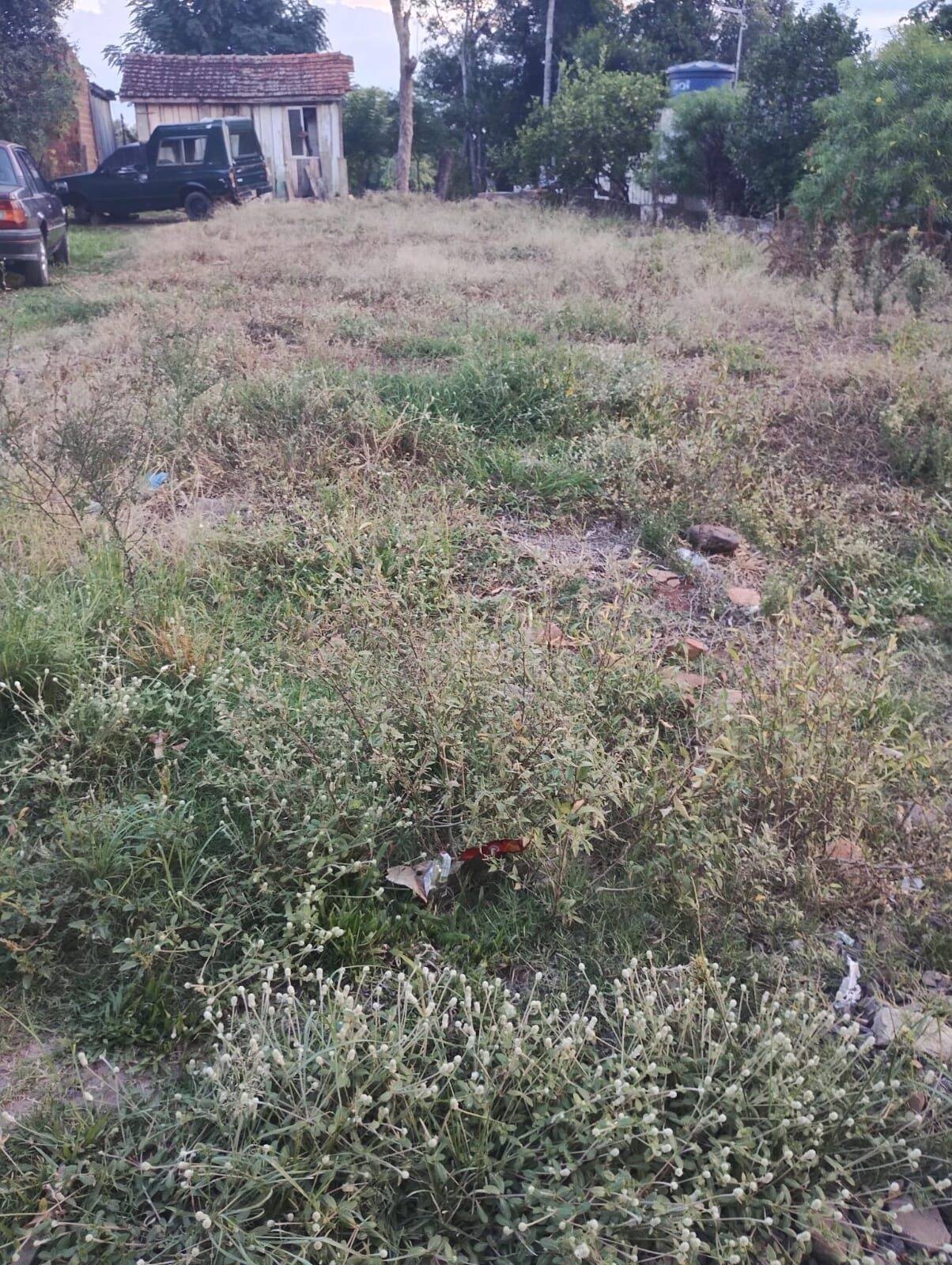 Terreno, 250 m² - Foto 2