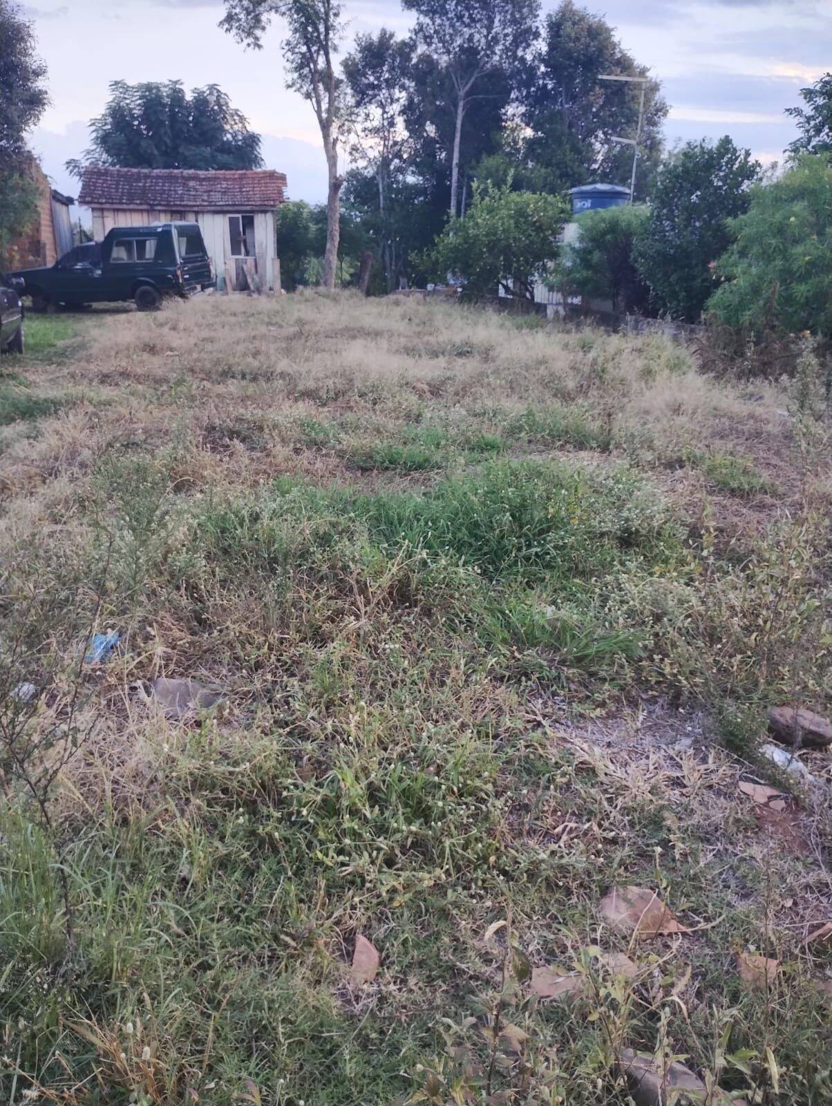 Terreno, 250 m² - Foto 3