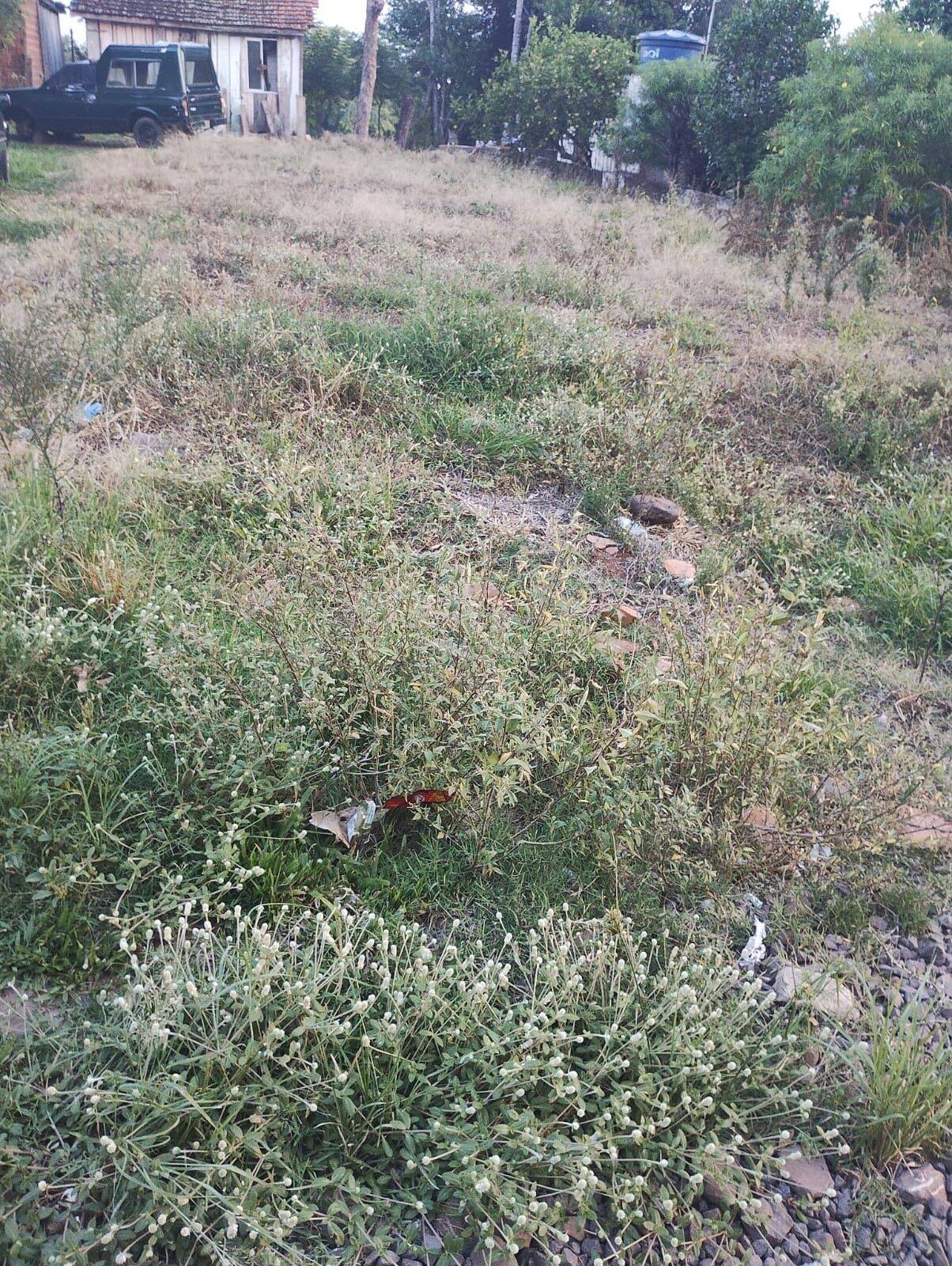 Terreno, 250 m² - Foto 5