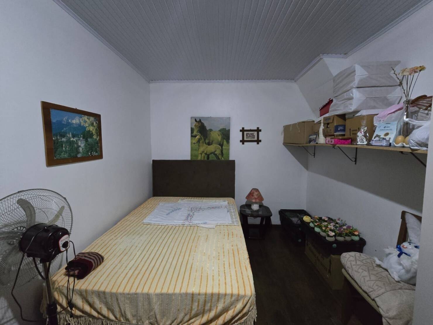 Chácara, 3 quartos, 4684 m² - Foto 21