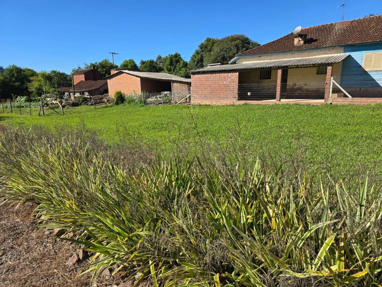 Chácara, 3 quartos, 4684 m² - Foto 22