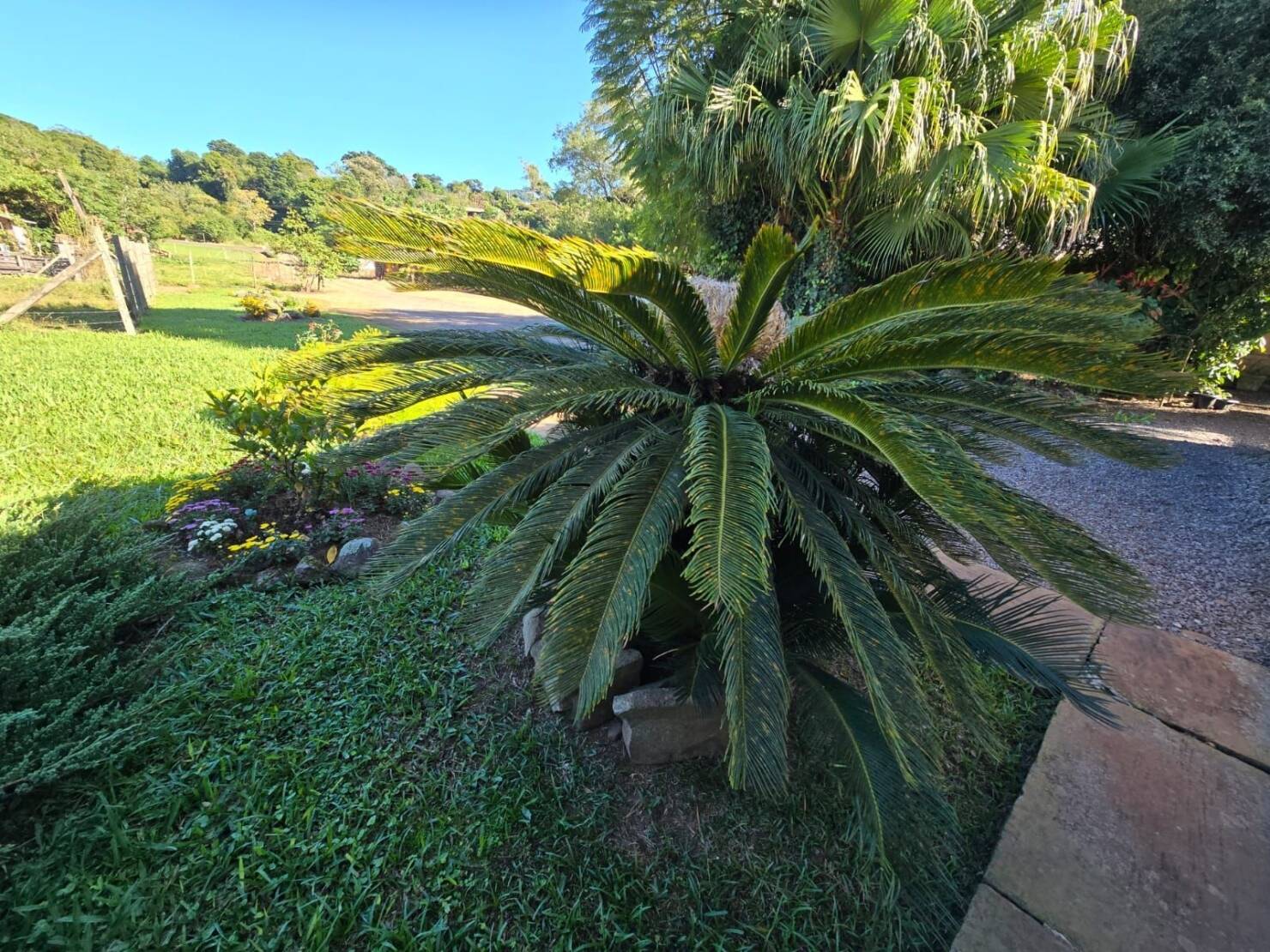 Chácara, 3 quartos, 4684 m² - Foto 26