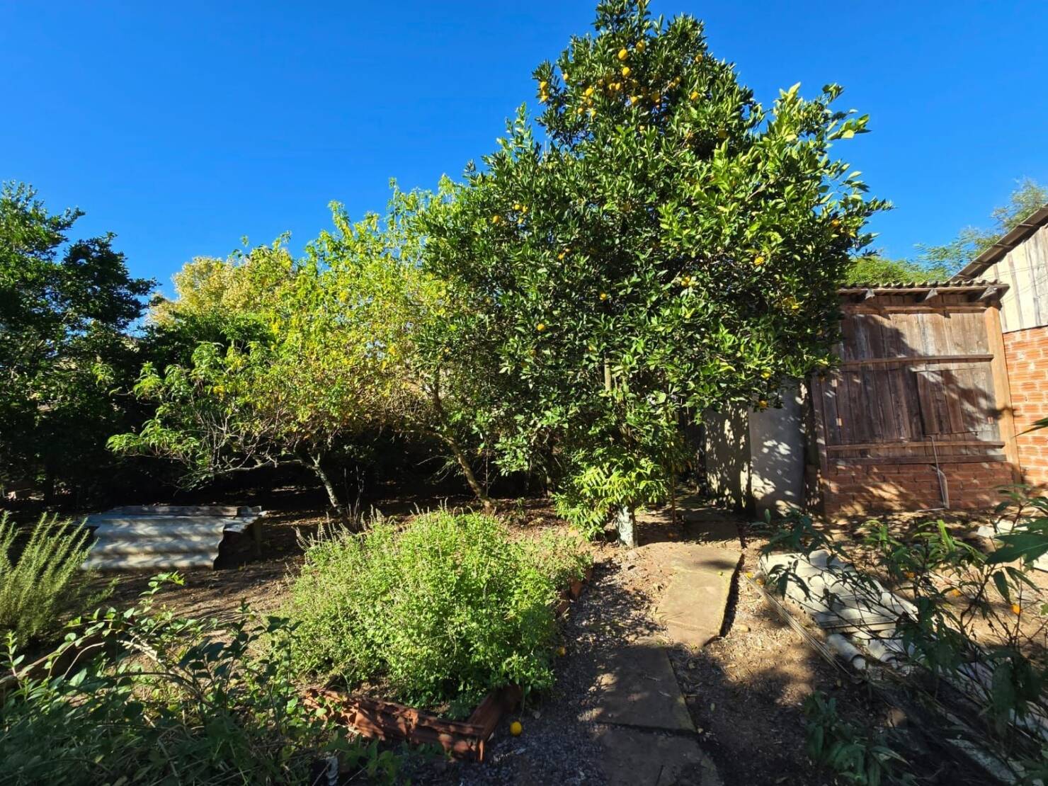 Chácara, 3 quartos, 4684 m² - Foto 27