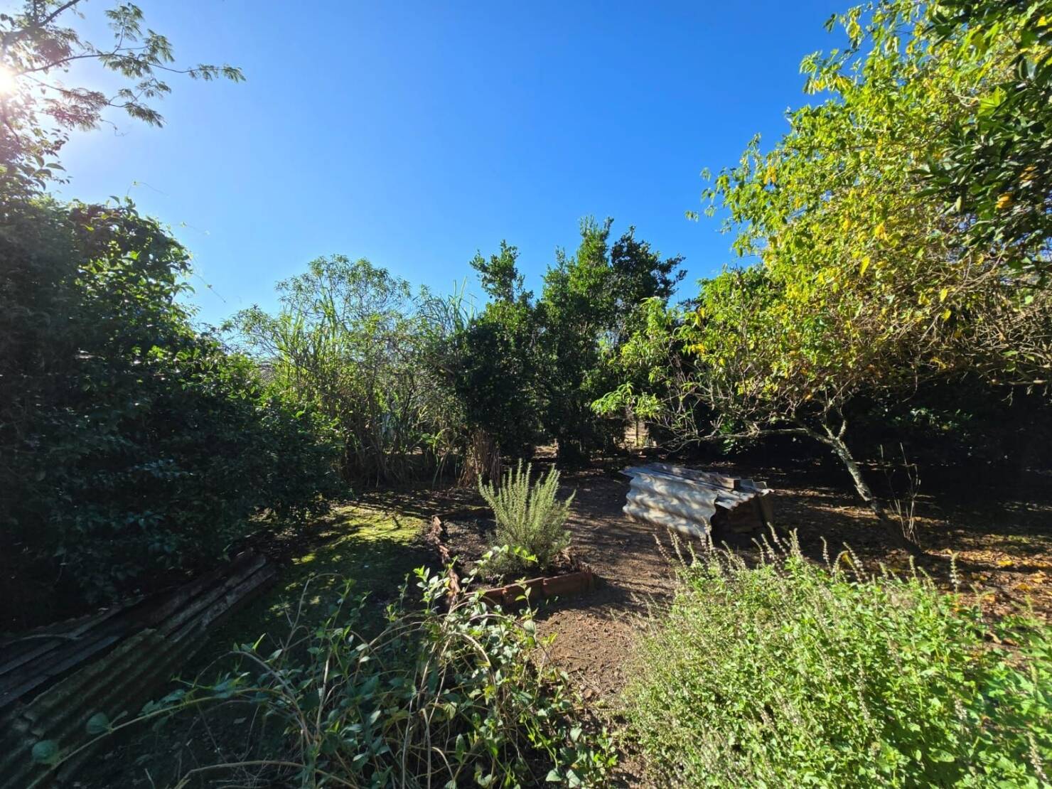 Chácara, 3 quartos, 4684 m² - Foto 28