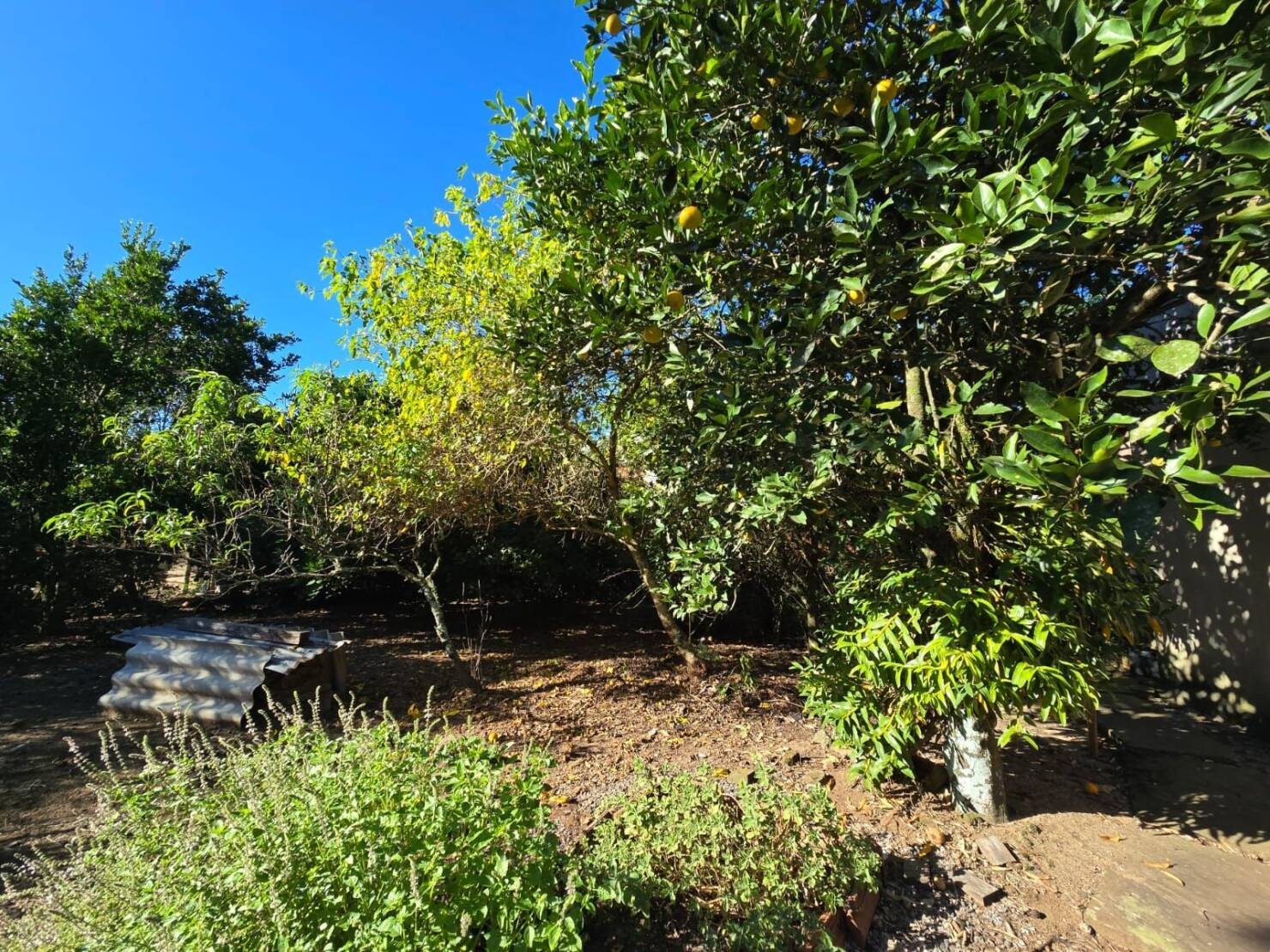 Chácara, 3 quartos, 4684 m² - Foto 29