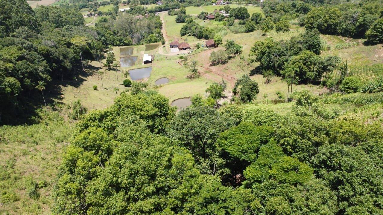 Chácara, 3 quartos, 8 hectares - Foto 2