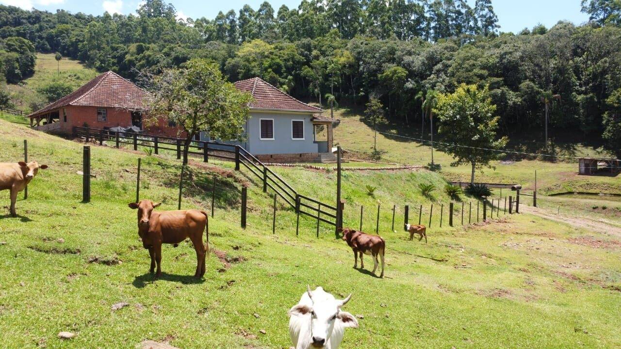 Chácara, 3 quartos, 8 hectares - Foto 7